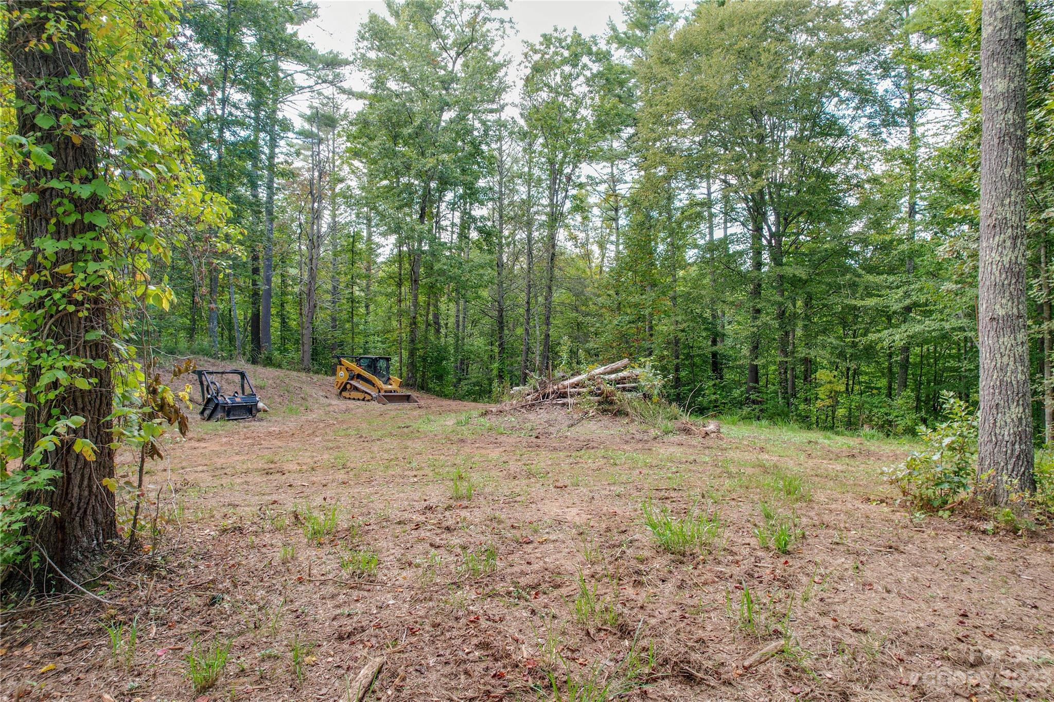 15 Plum Road, Unit B Weaverville, NC 28787 - Photo 12 of 30 Gallery Image 12
