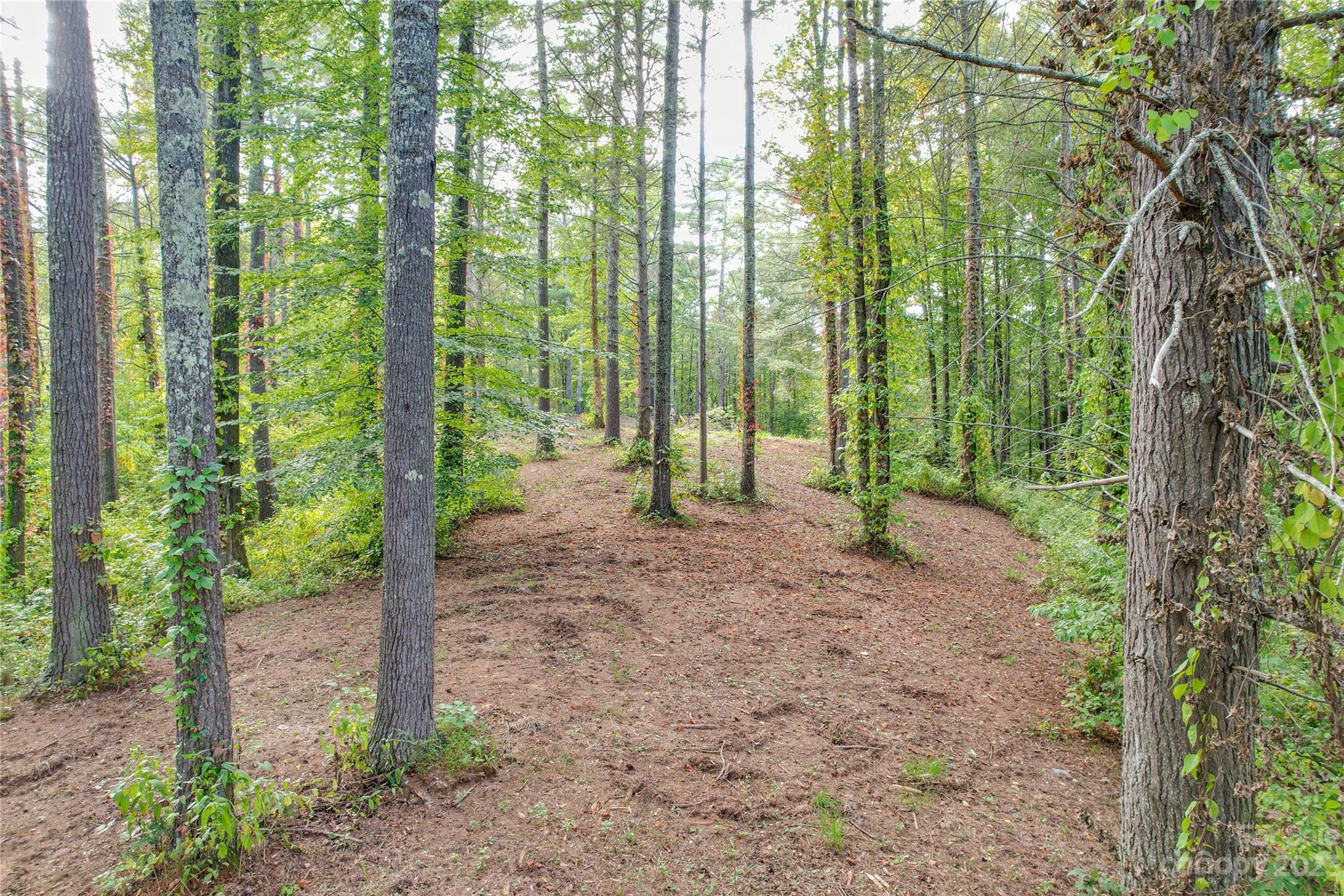 15 Plum Road, Unit B Weaverville, NC 28787 - Photo 13 of 30 Gallery Image 13