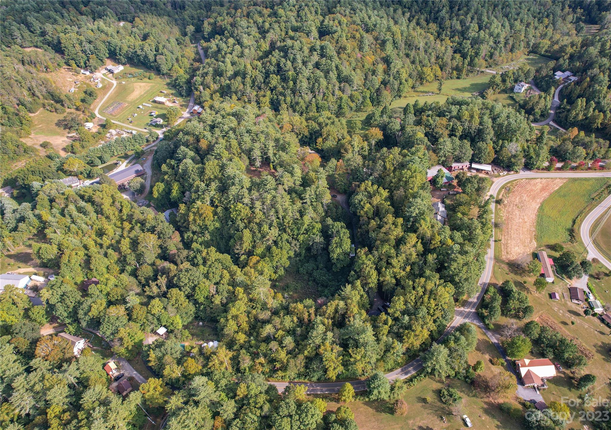 15 Plum Road, Unit B Weaverville, NC 28787 - Photo 16 of 30 Gallery Image 16