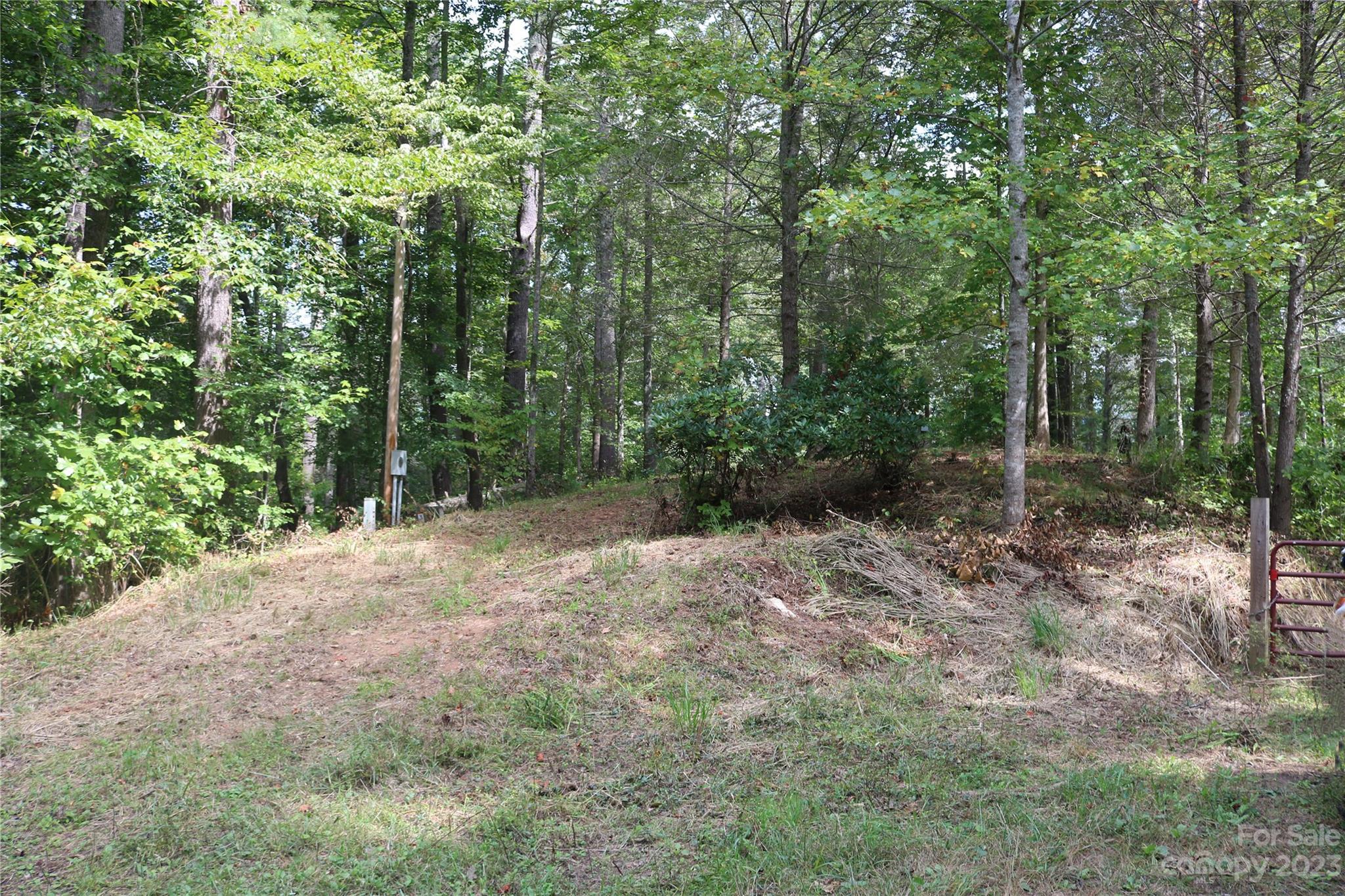 15 Plum Road, Unit B Weaverville, NC 28787 - Photo 18 of 30 Gallery Image 18