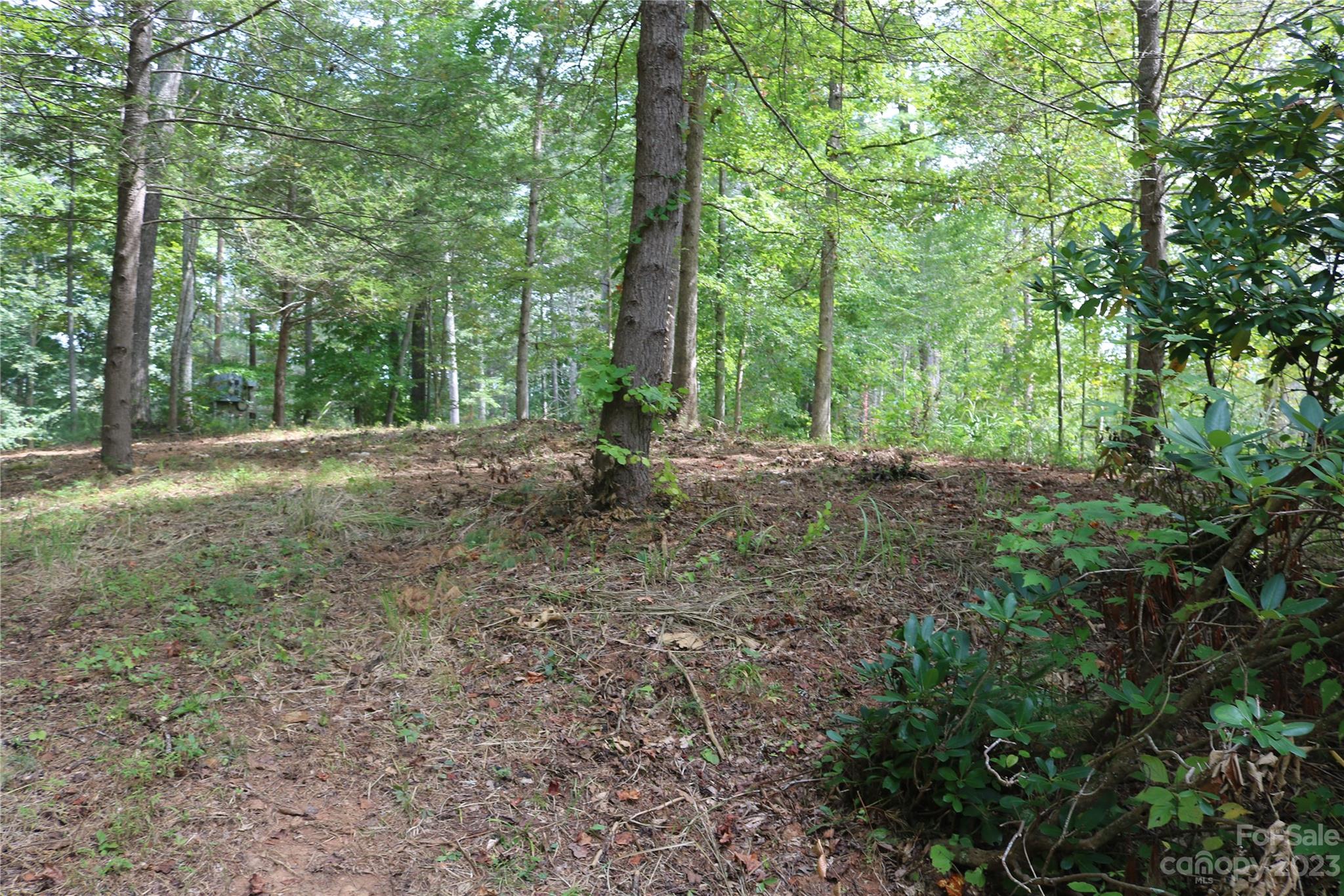 15 Plum Road, Unit B Weaverville, NC 28787 - Photo 19 of 30 Gallery Image 19