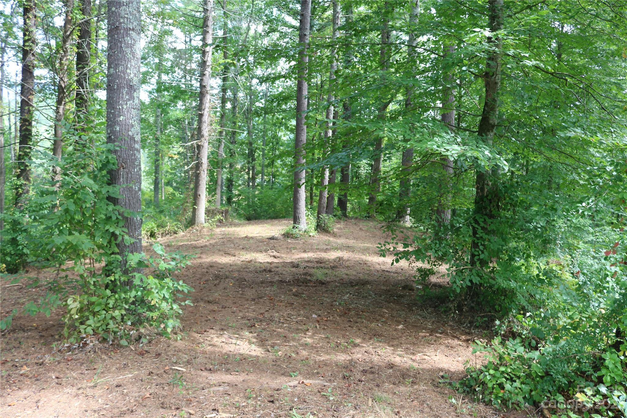 15 Plum Road, Unit B Weaverville, NC 28787 - Photo 2 of 30 Gallery Image 2