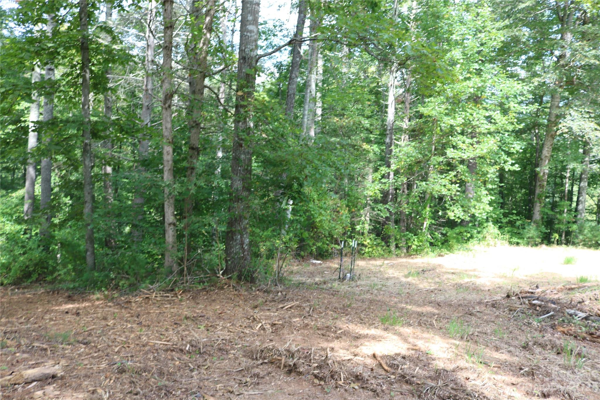 15 Plum Road, Unit B Weaverville, NC 28787 - Photo 21 of 30 Gallery Image 21