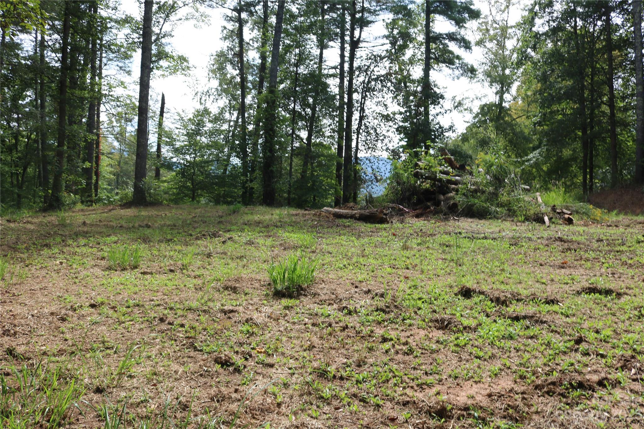 15 Plum Road, Unit B Weaverville, NC 28787 - Photo 28 of 30 Gallery Image 28