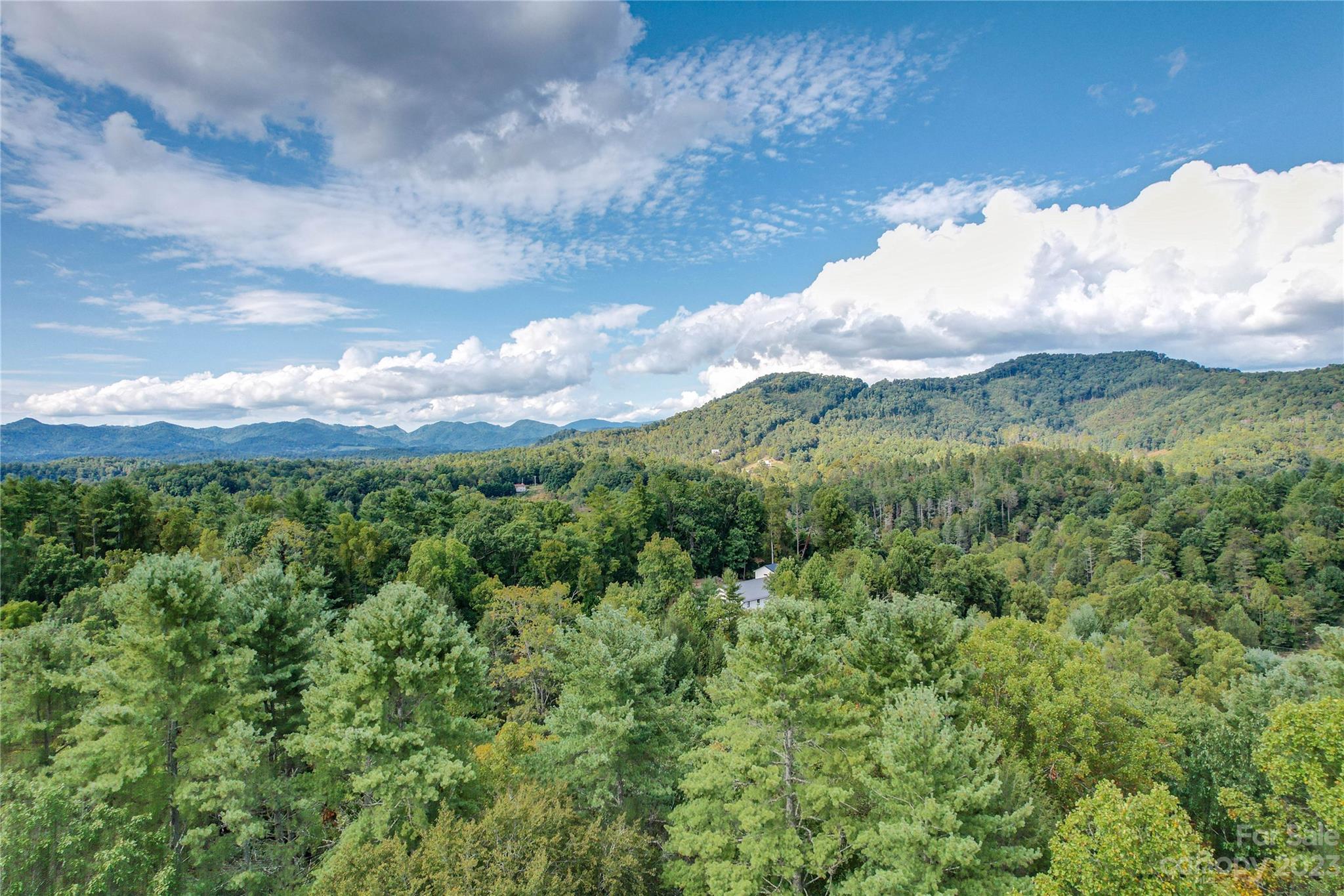 15 Plum Road, Unit B Weaverville, NC 28787 - Photo 29 of 30 Gallery Image 29
