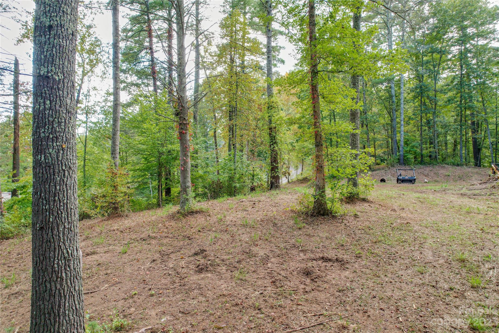 15 Plum Road, Unit B Weaverville, NC 28787 - Photo 3 of 30 Gallery Image 3