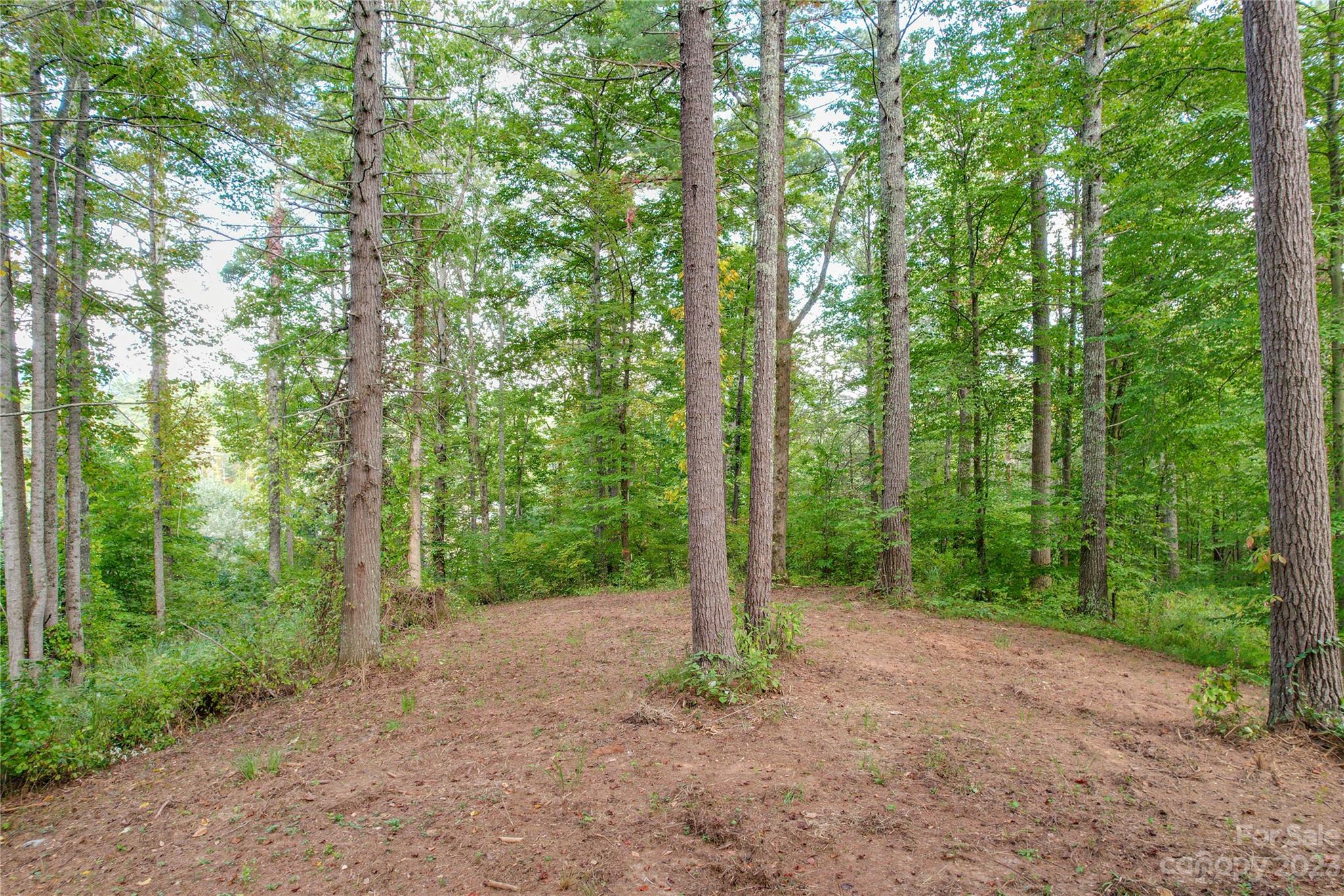 15 Plum Road, Unit B Weaverville, NC 28787 - Photo 5 of 30 Gallery Image 5