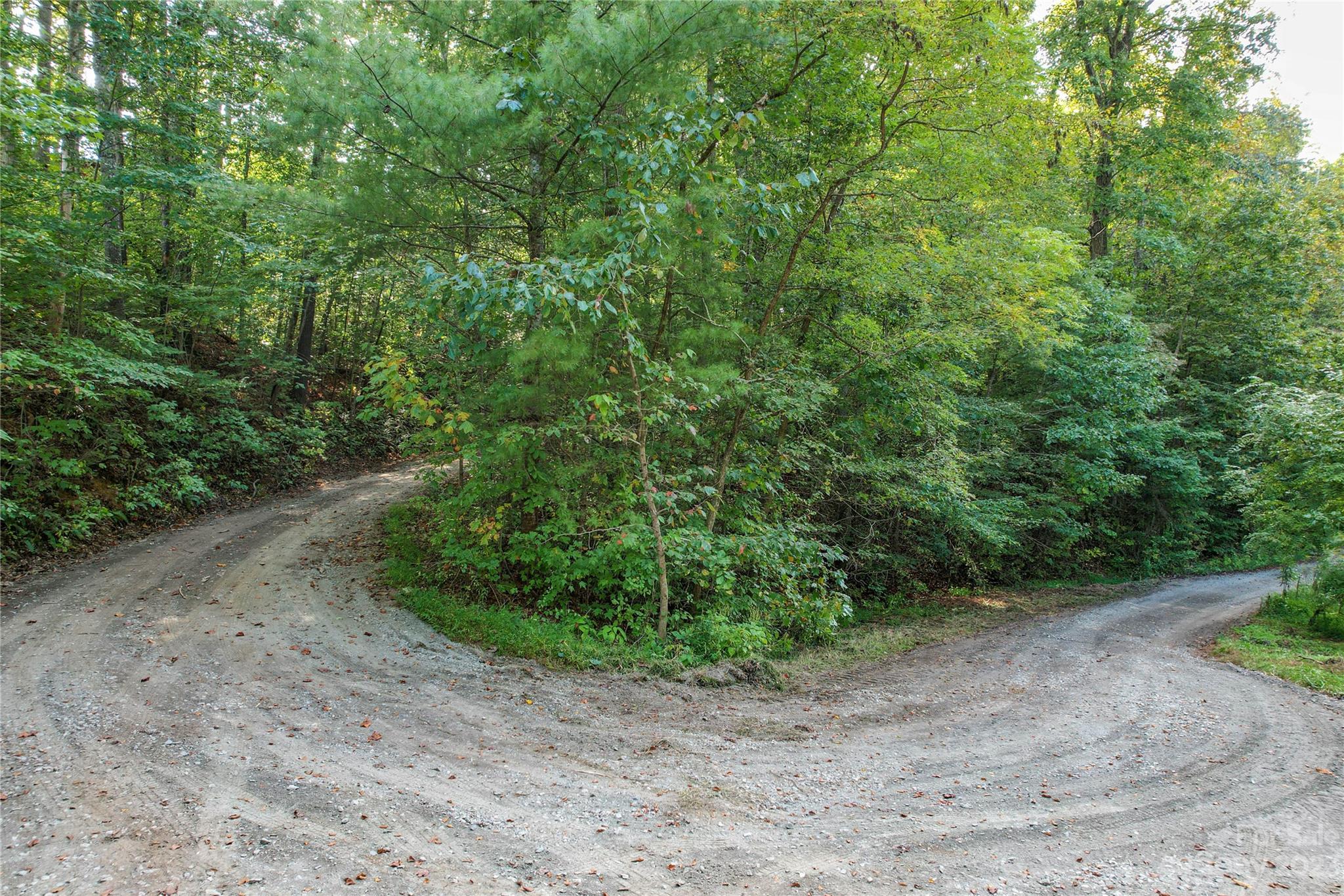 15 Plum Road, Unit B Weaverville, NC 28787 - Photo 7 of 30 Gallery Image 7