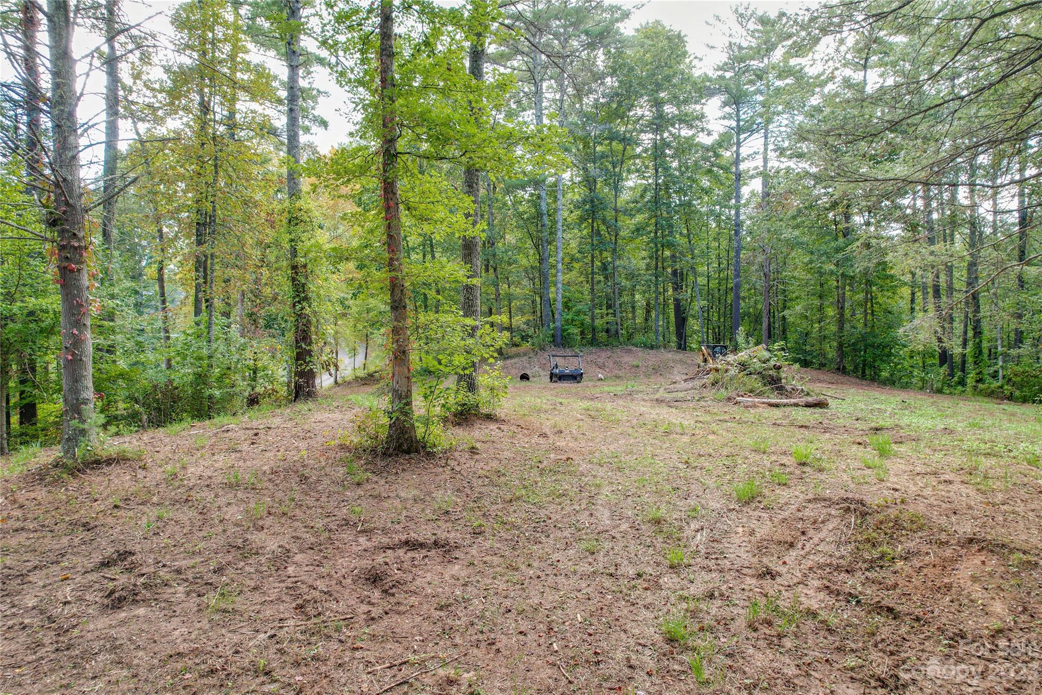 15 Plum Road, Unit B Weaverville, NC 28787 - Photo 10 of 30 Gallery Image 10