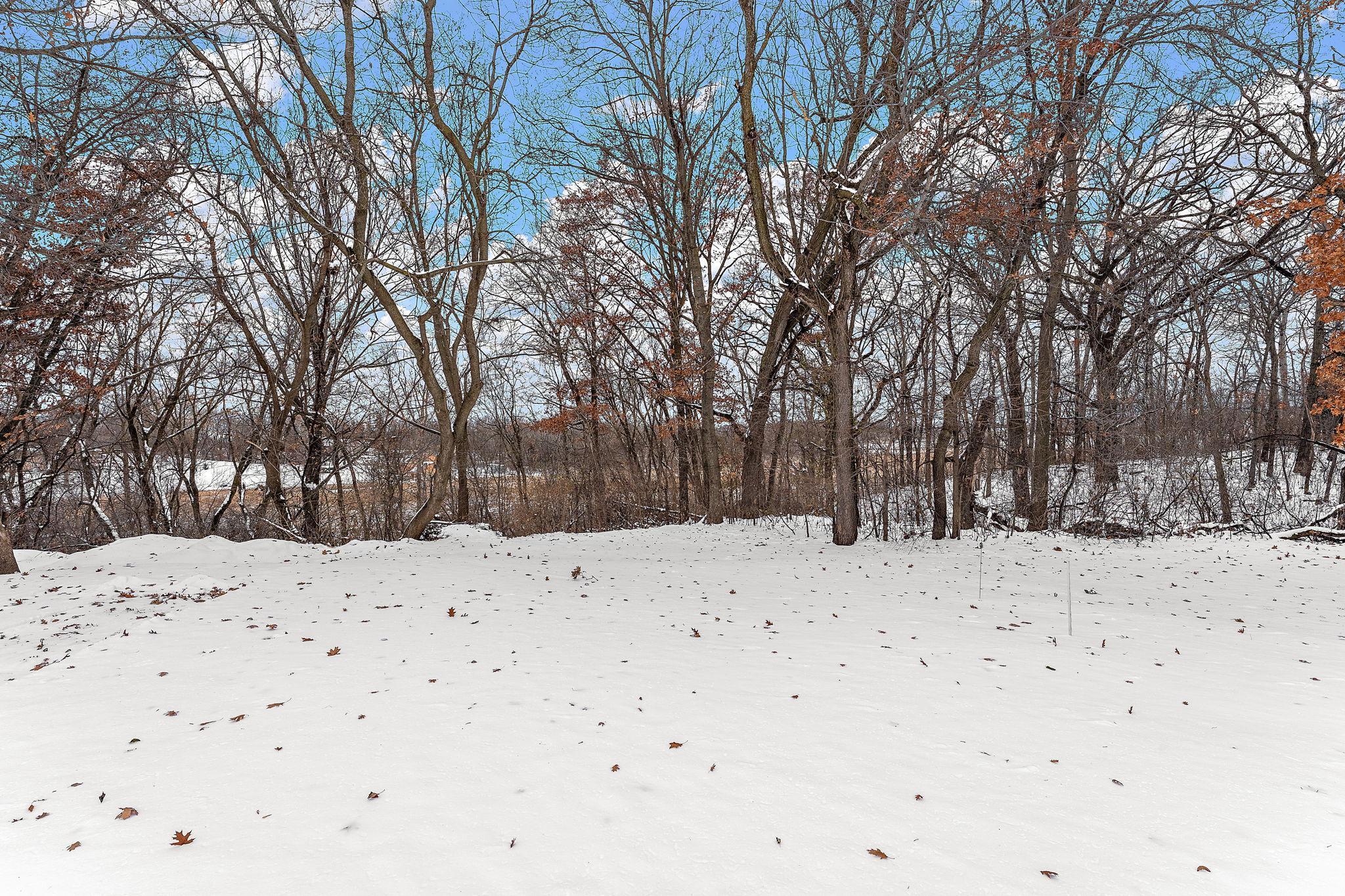 18136 Yorkshire Avenue Prior Lake, MN 55372 - Photo 11 of 70