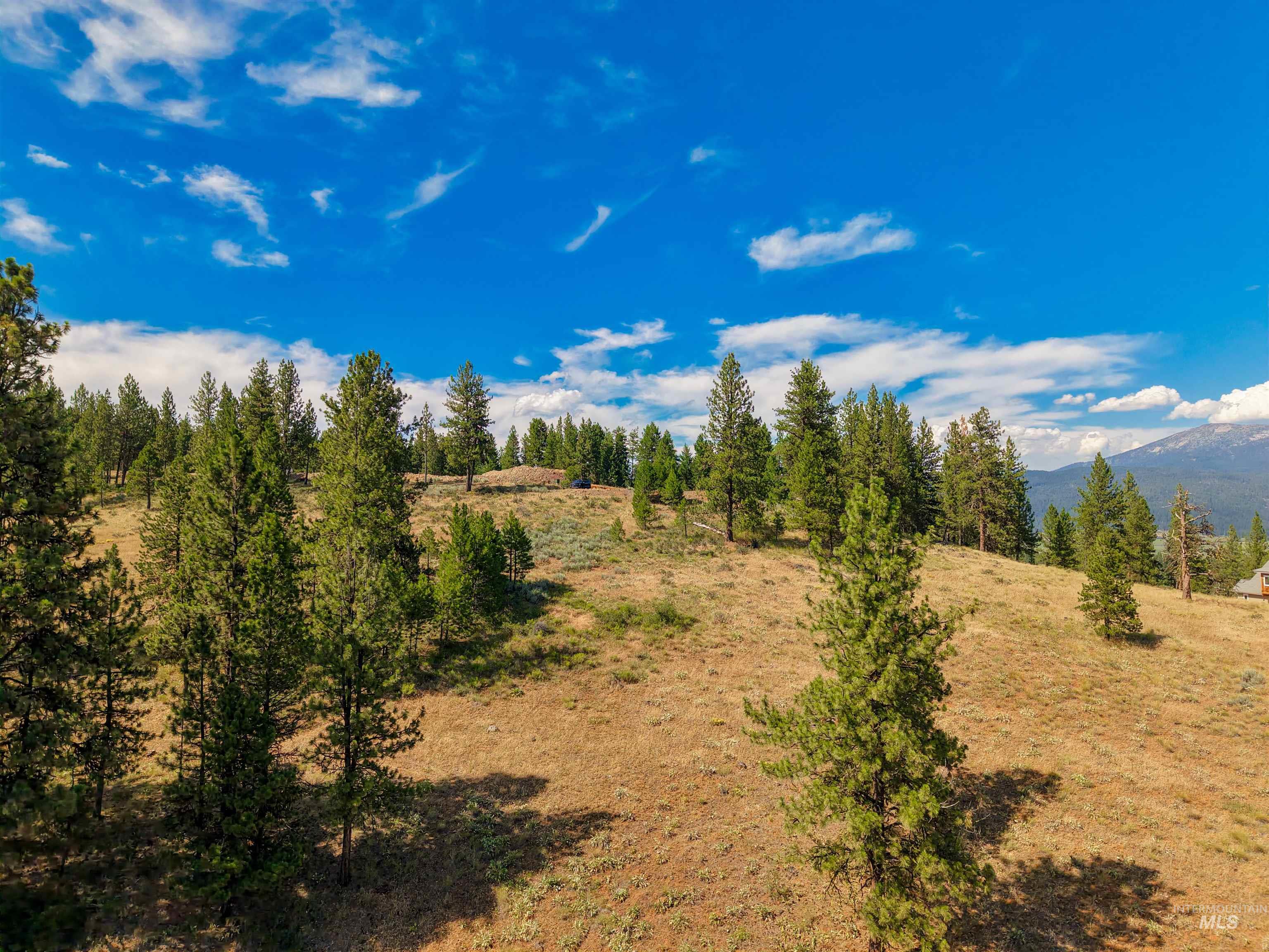 Tbd Tbd Eagle Feather Road New Meadows, ID 83654 - Photo 14 of 21 Gallery Image 14