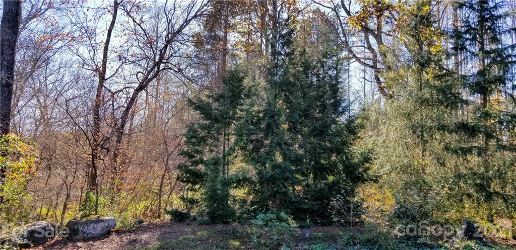 34152 Bethany Road Albemarle, NC 28001 - Photo 29 of 33 Gallery Image 29
