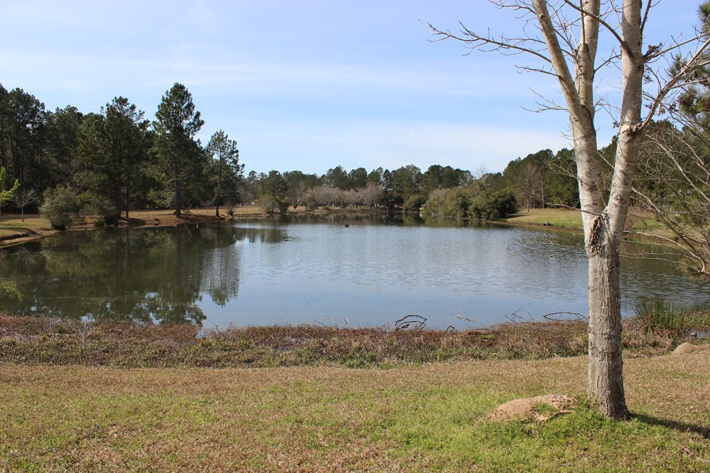 4 Peter Collinson Road Santee, SC 29142 - Photo 37 of 50 Gallery Image 37