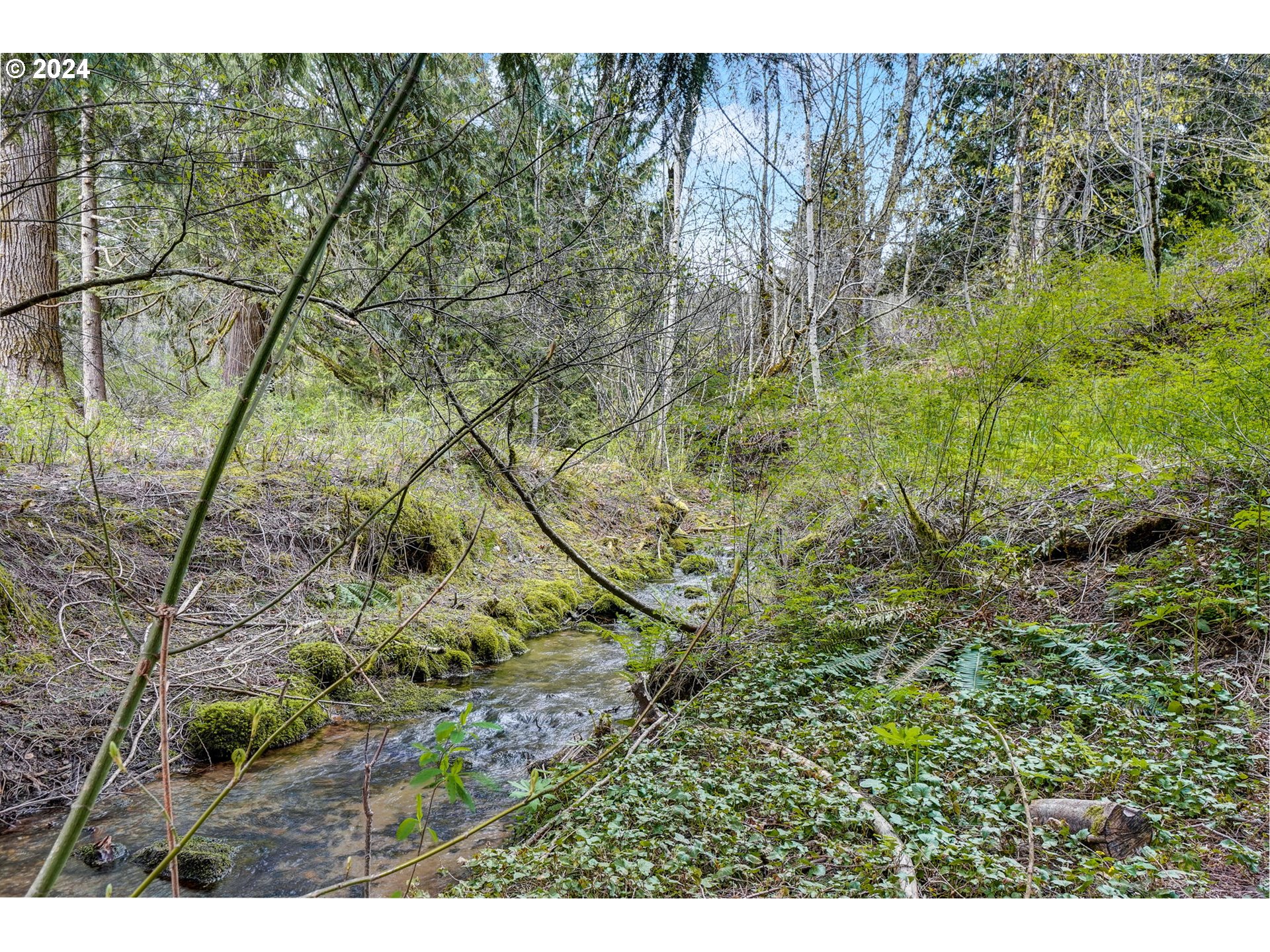2162 East Loop Road Stevenson, WA 98648 - Photo 41 of 48 a view of a yard with a tree
