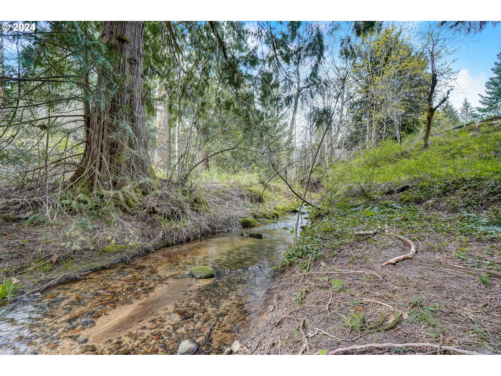 2162 East Loop Road Stevenson, WA 98648 - Photo 42 of 48 a view of a yard