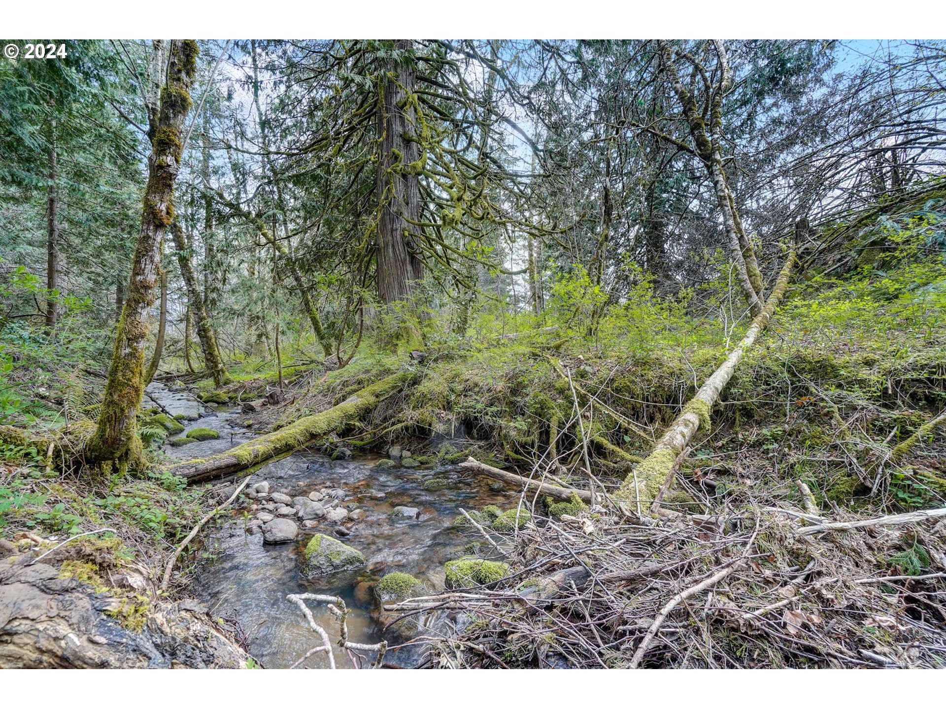 2162 East Loop Road Stevenson, WA 98648 - Photo 43 of 48 a view of a yard