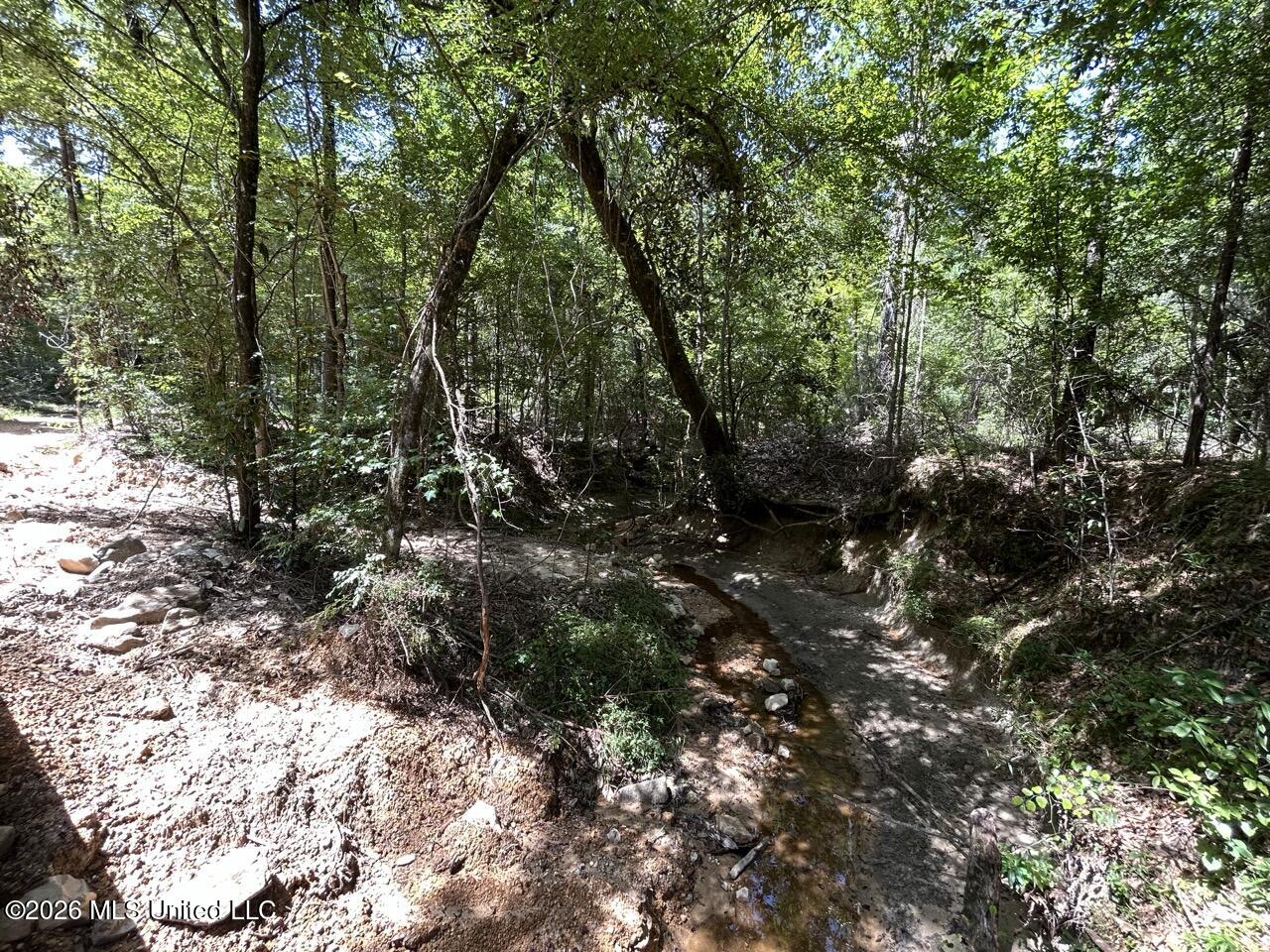 399 Northeast Dummyline Road Brookhaven, MS 39601 - Photo 25 of 33 IMG_5208 Large