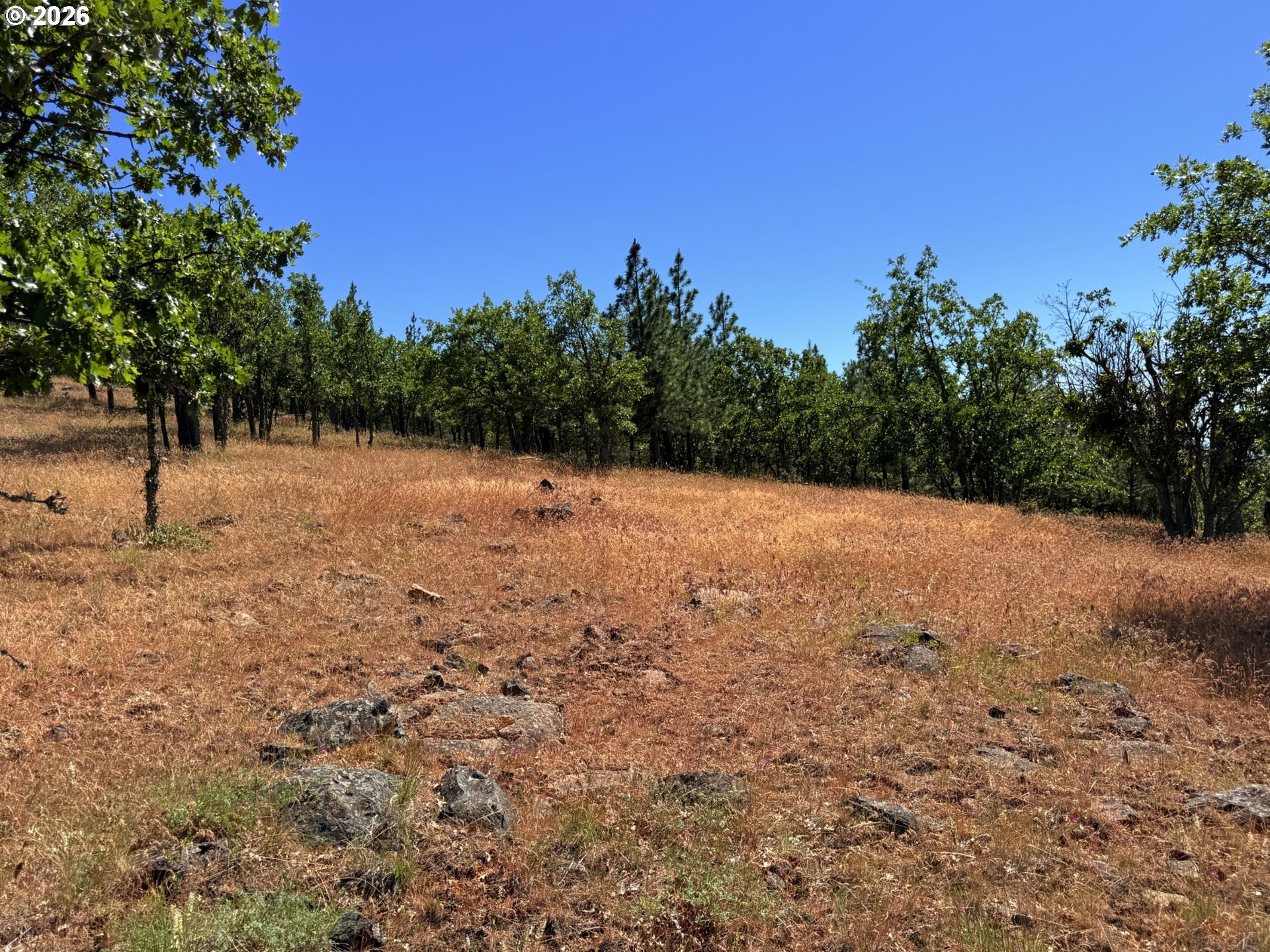 238 Chisholm Road Goldendale, WA 98620 - Photo 25 of 42