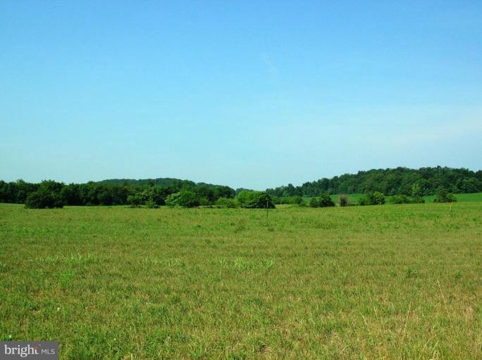 a view of a field with an ocean