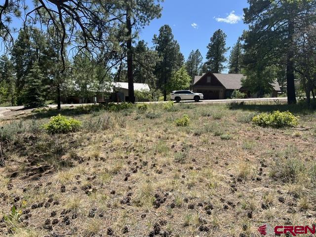 250 Copper Rim Trail Durango, CO 81301 - Photo 9 of 11