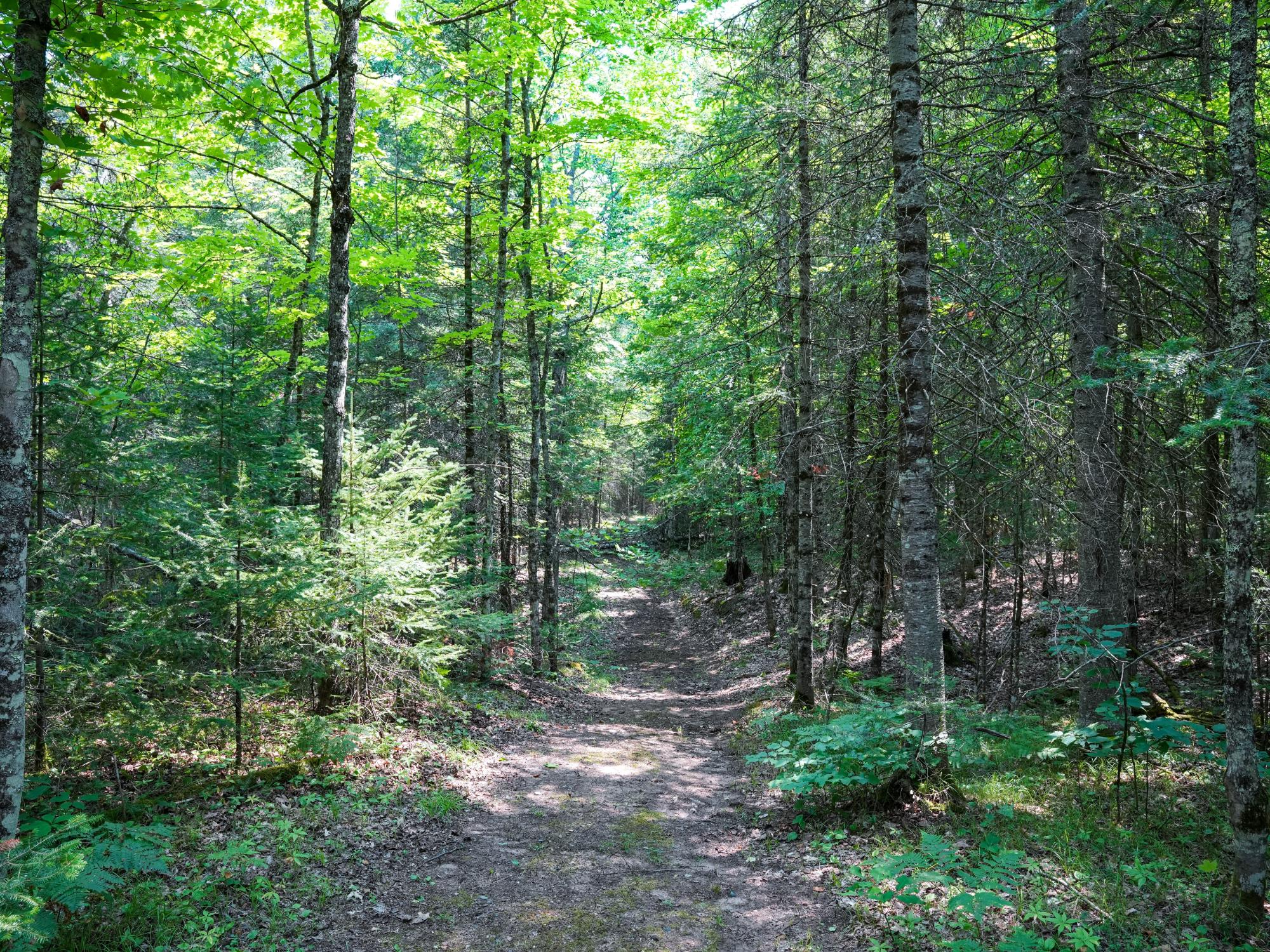 Lot 7 Hunters Ridge Road Phelps, WI 54554 - Photo 15 of 29