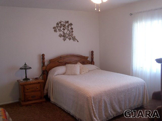 599 Gerken Road Grand Junction, CO 81504 - Photo 12 of 34 Gallery Image 12