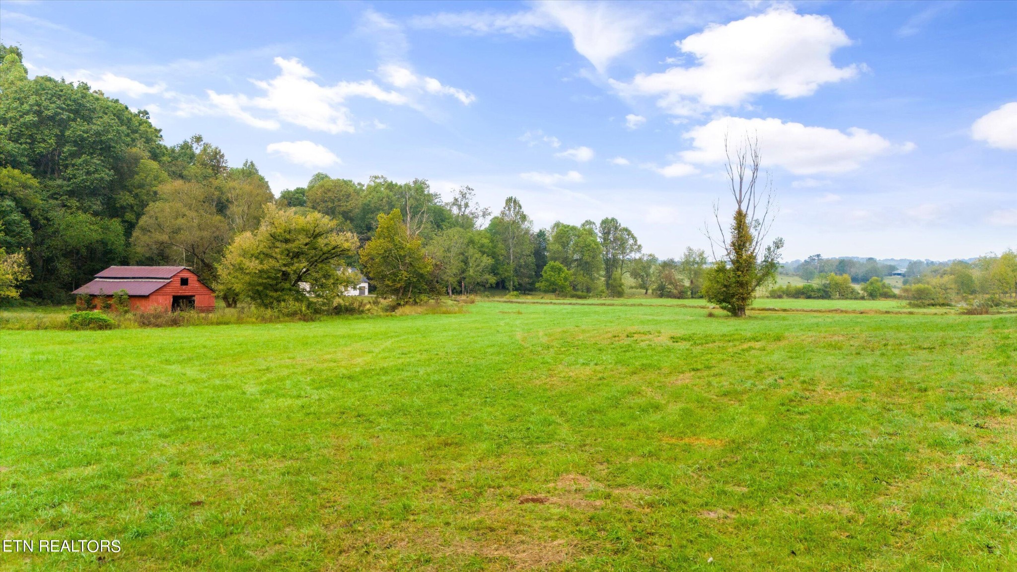 220 Fish Hatchery Road Sweetwater, TN 37874 - Photo 4 of 52