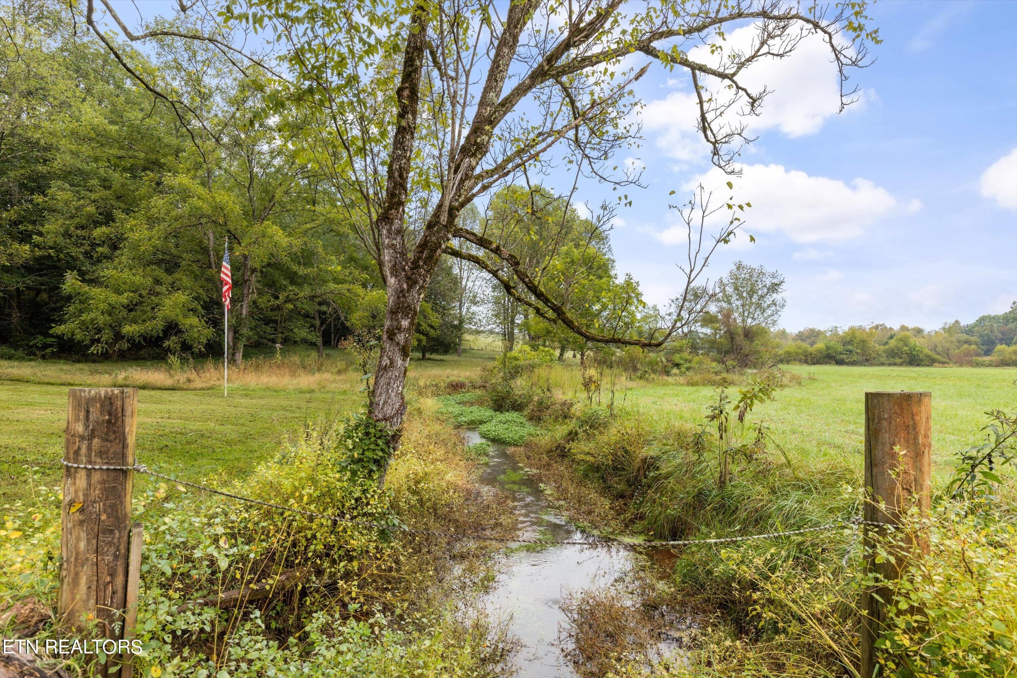 220 Fish Hatchery Road Sweetwater, TN 37874 - Photo 6 of 52