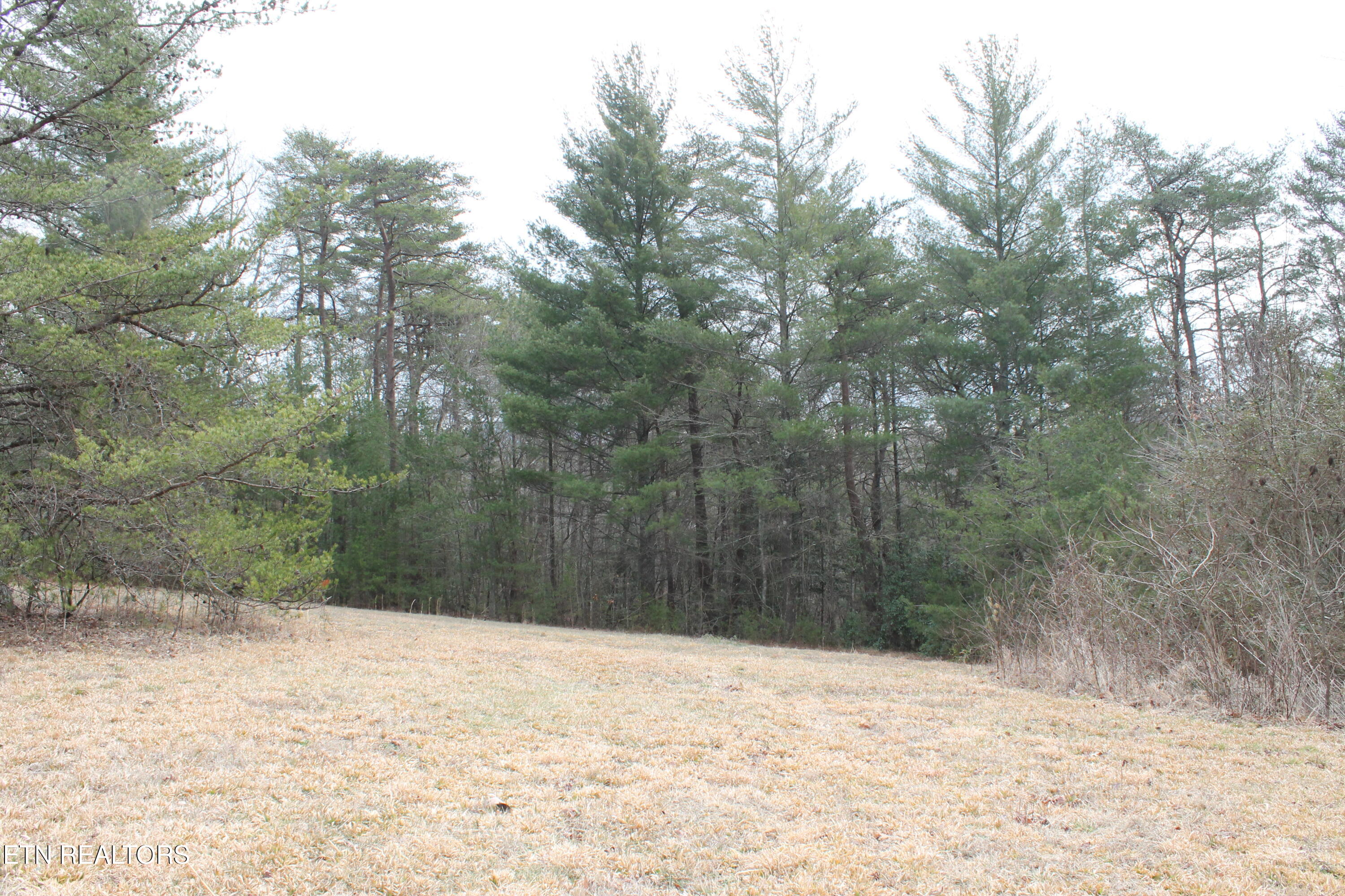 Meridian Road Crossville, TN 38555 - Photo 1 of 8 IMG_8012