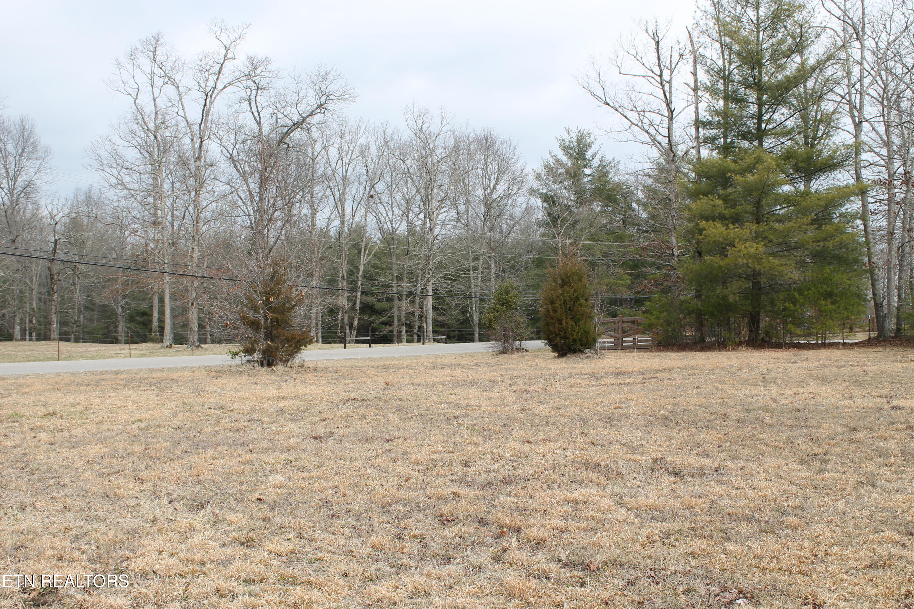 Meridian Road Crossville, TN 38555 - Photo 2 of 8 IMG_8011