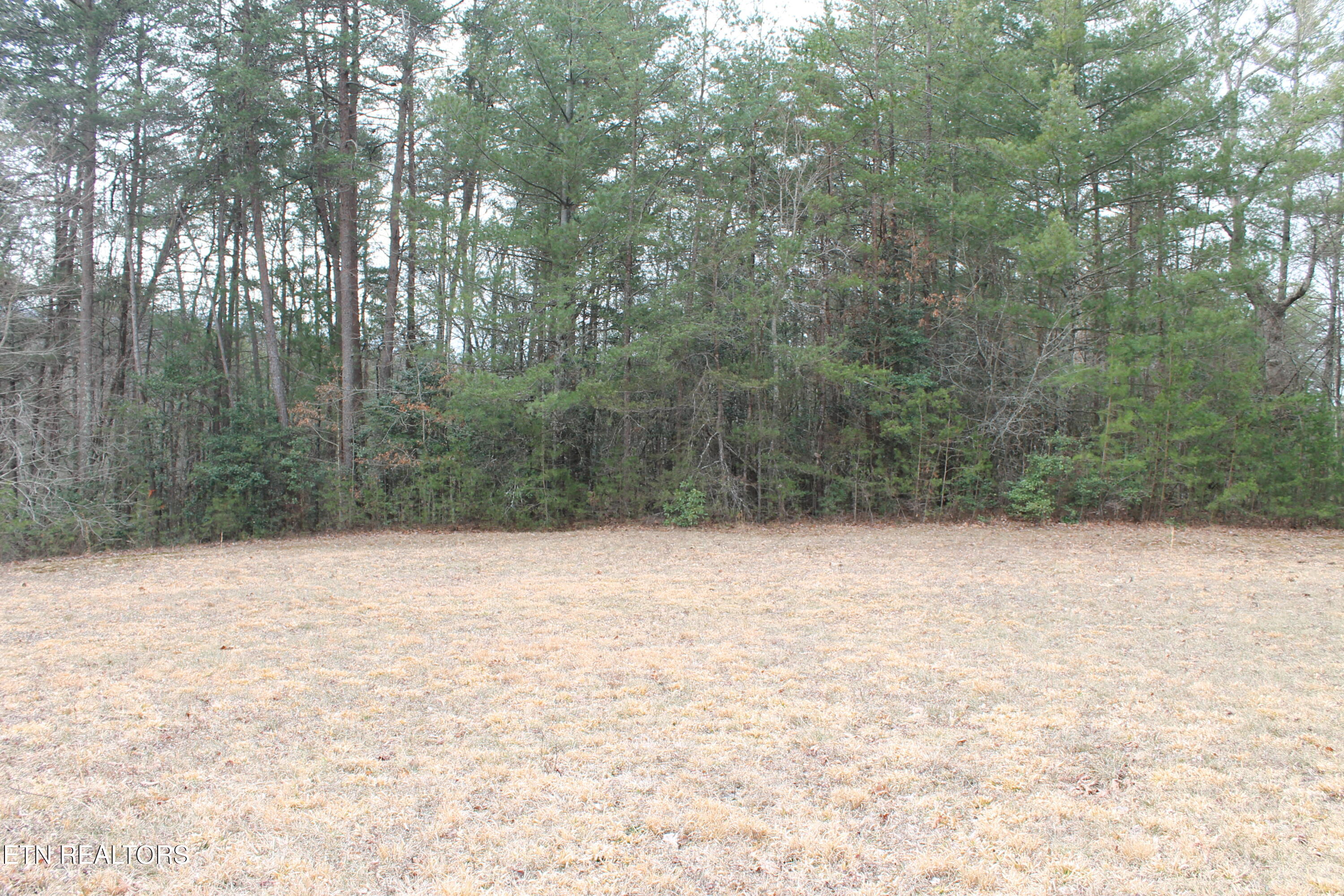 Meridian Road Crossville, TN 38555 - Photo 3 of 8 IMG_8010