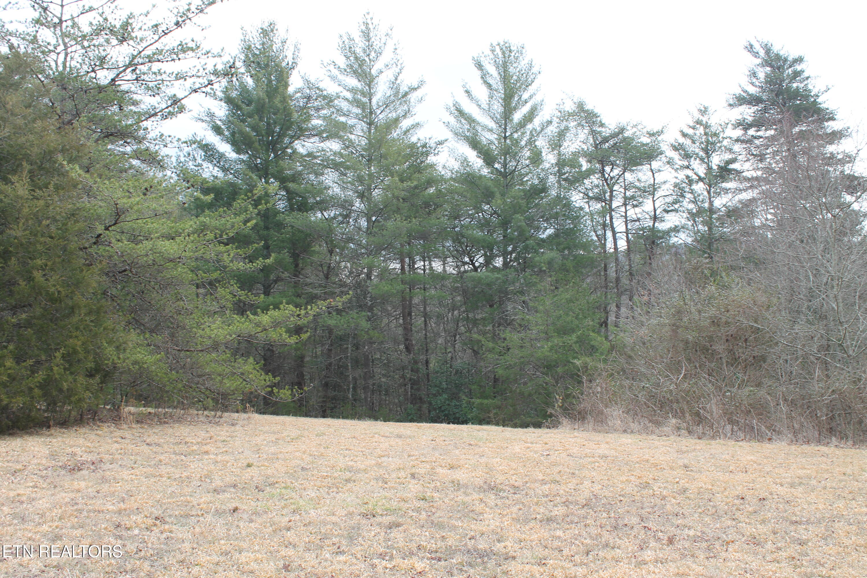 Meridian Road Crossville, TN 38555 - Photo 5 of 8 IMG_8008