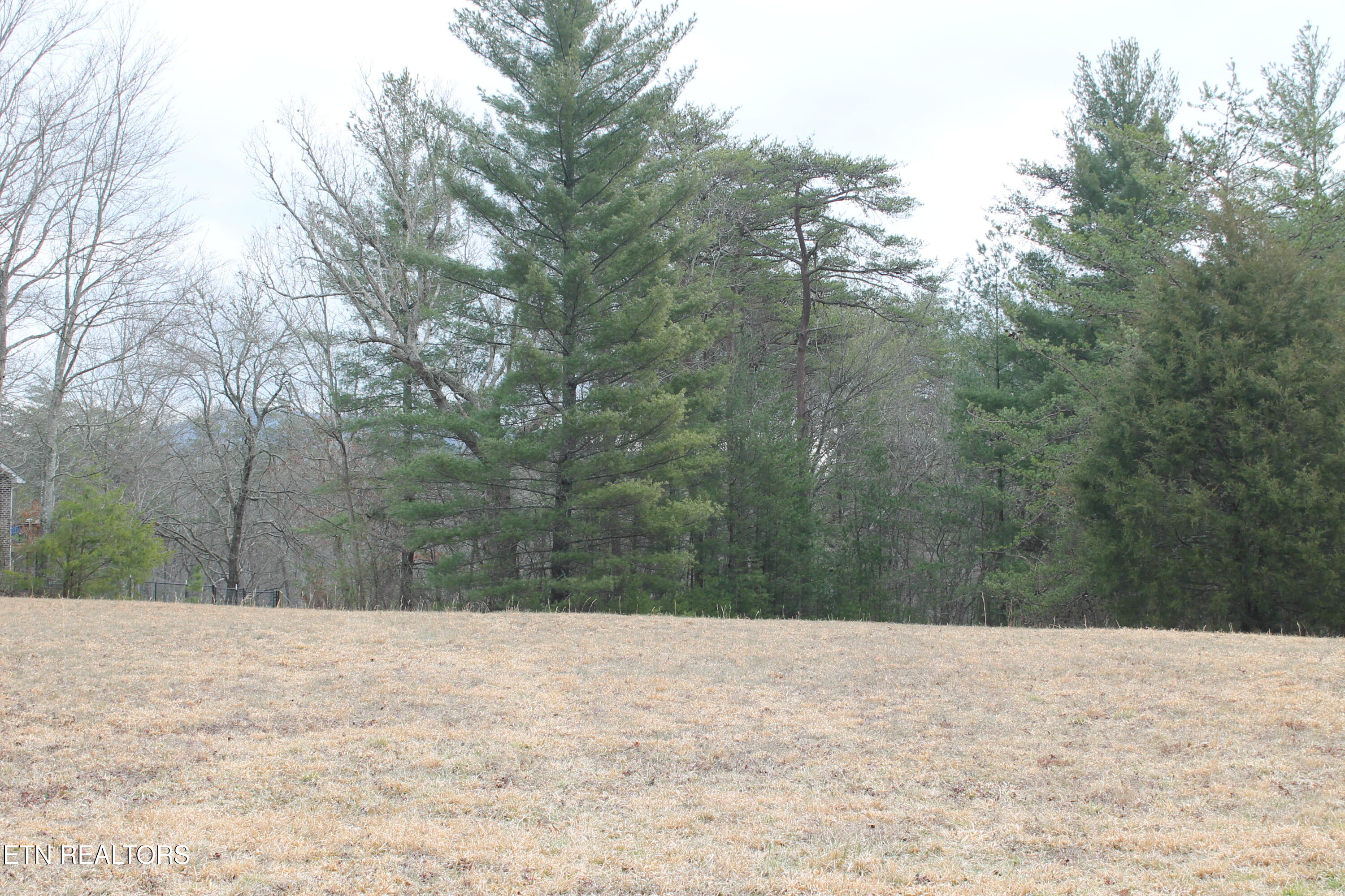 Meridian Road Crossville, TN 38555 - Photo 6 of 8 IMG_8007