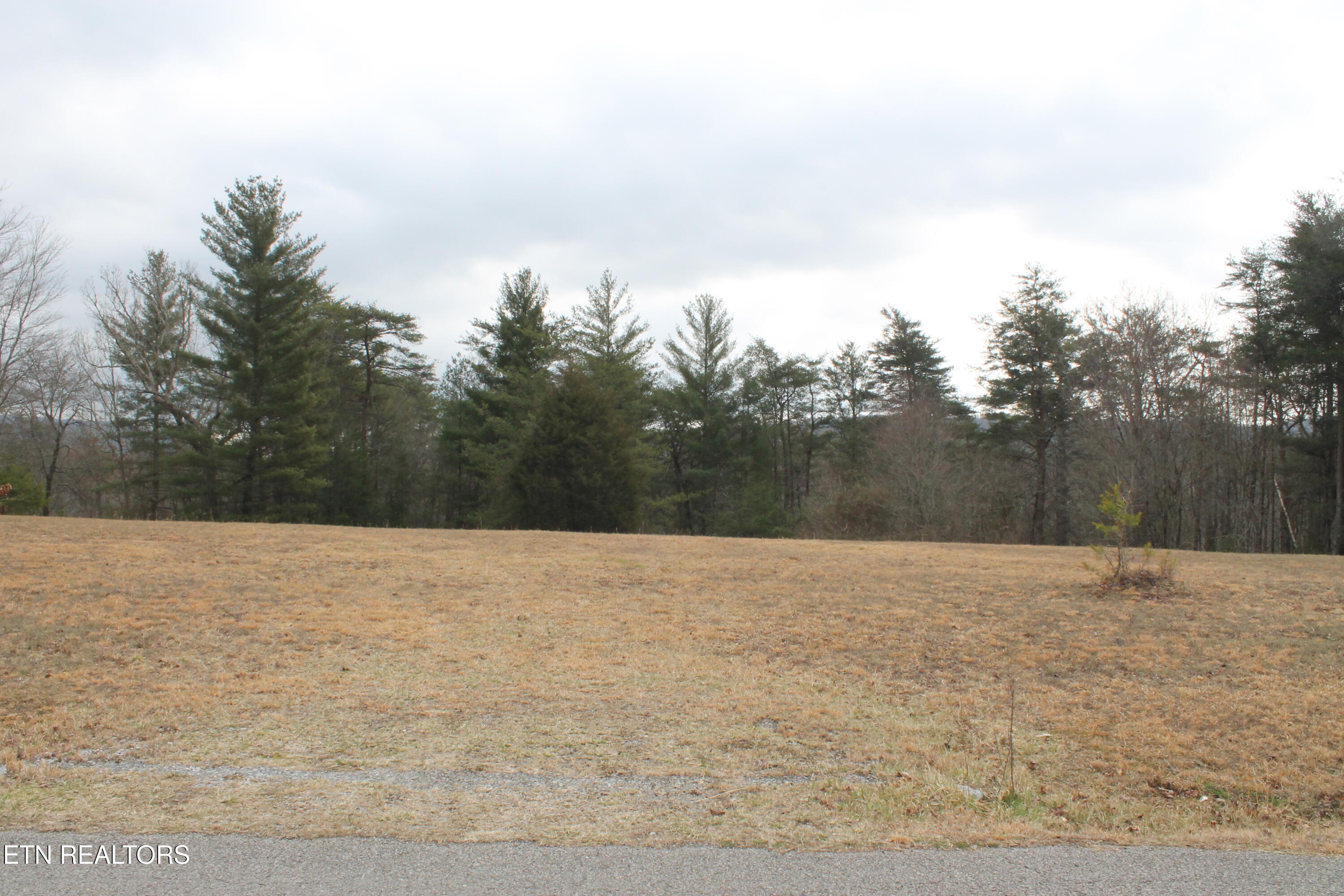 Meridian Road Crossville, TN 38555 - Photo 7 of 8 IMG_8006