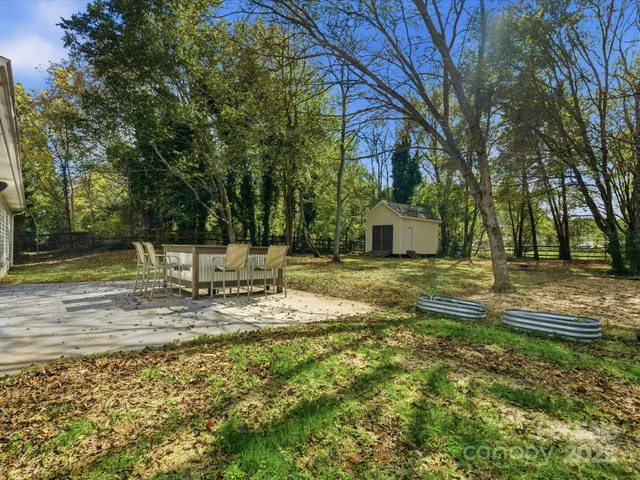 a view of a yard with plants and trees