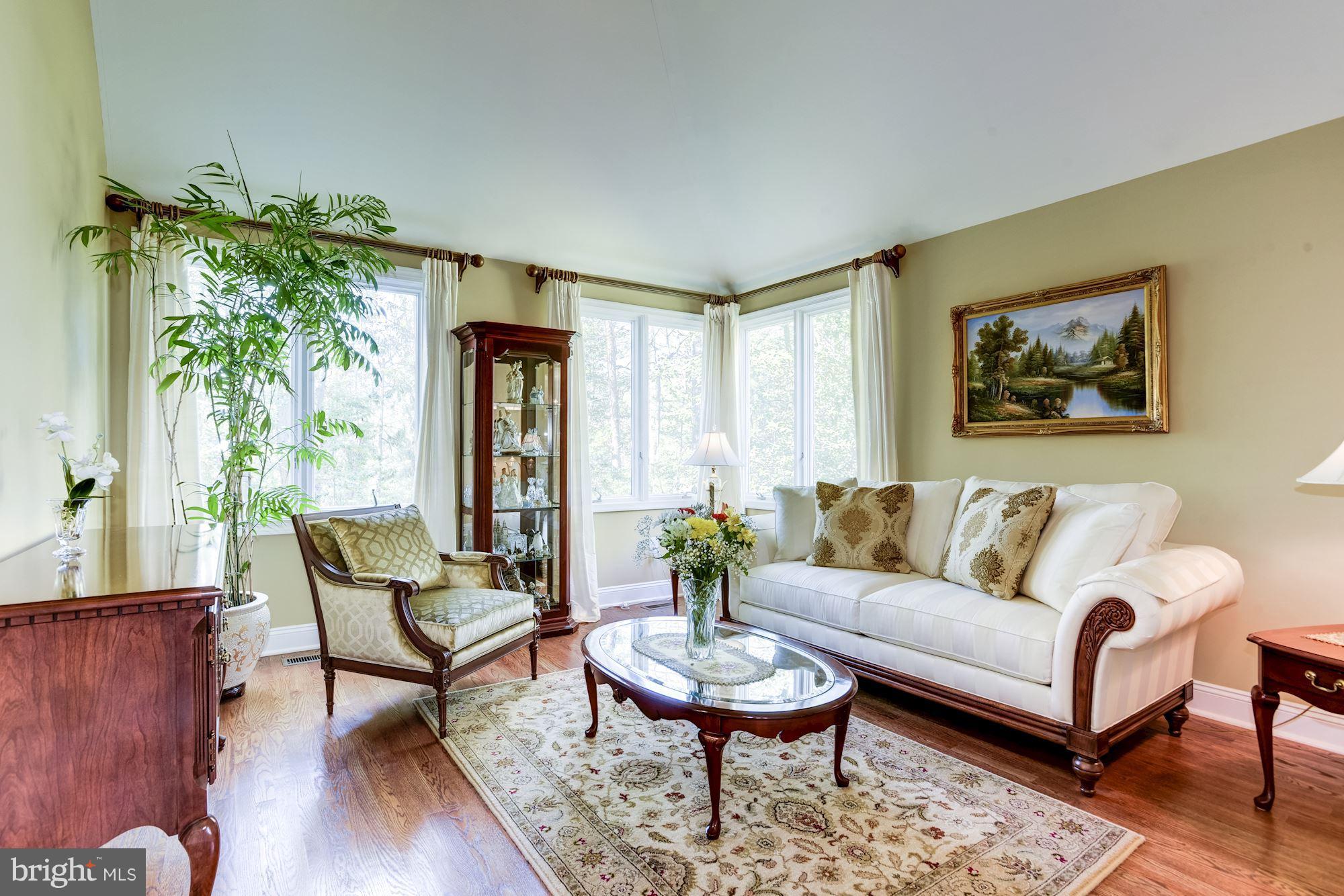 1300 Pavilion Club Way Reston, VA 20194 - Photo 4 of 30 a living room with furniture and a potted plant