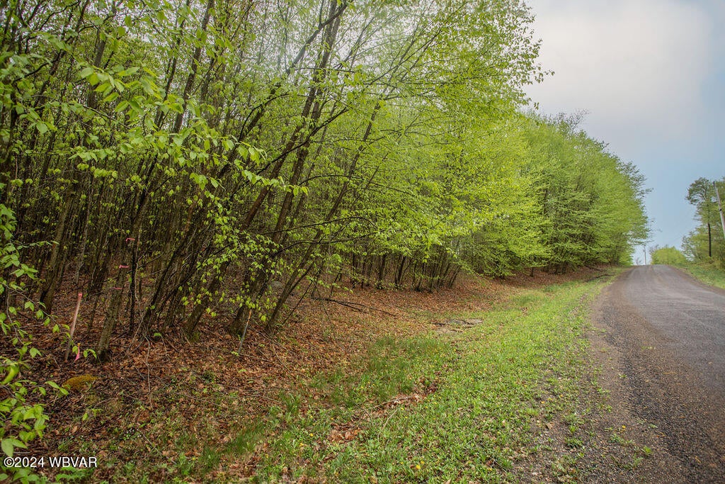 193 Pole Bridge Road Benton, PA 17814 - Photo 44 of 49 2D8A0115