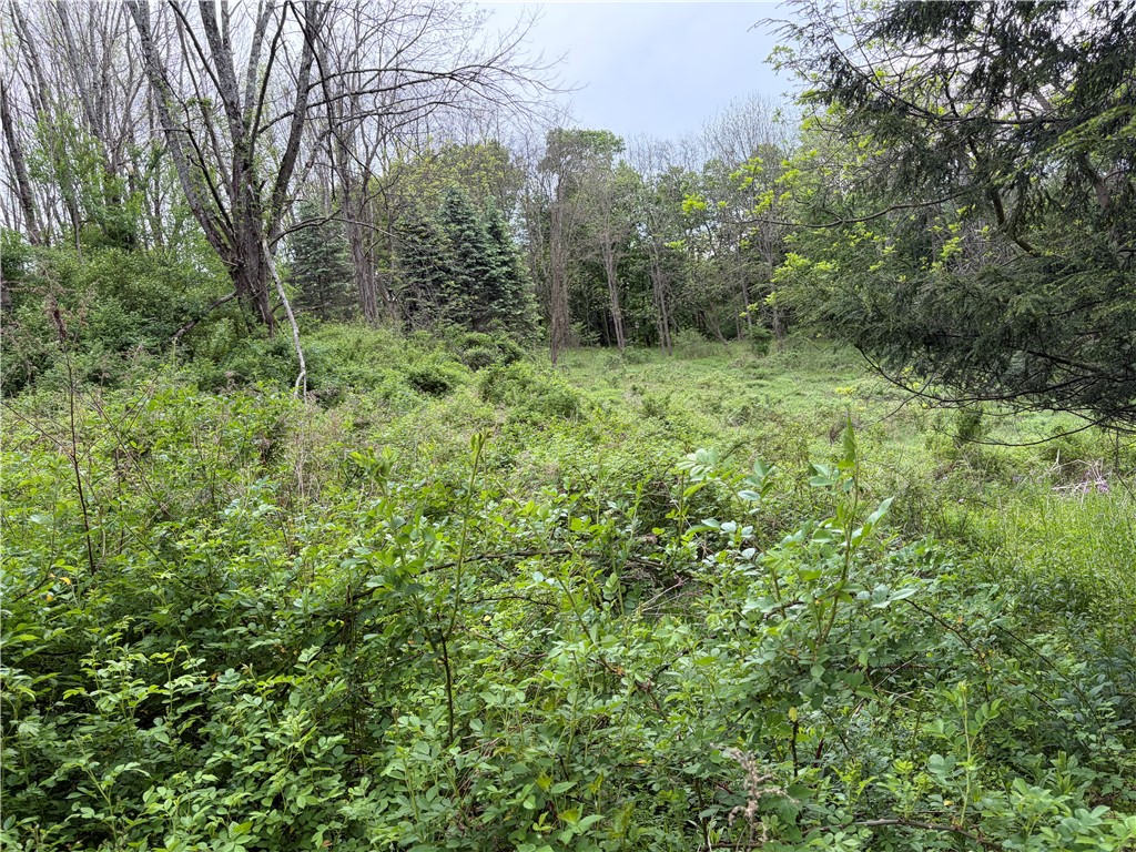 473 County Highway Oneonta, NY 13820 - Photo 44 of 45