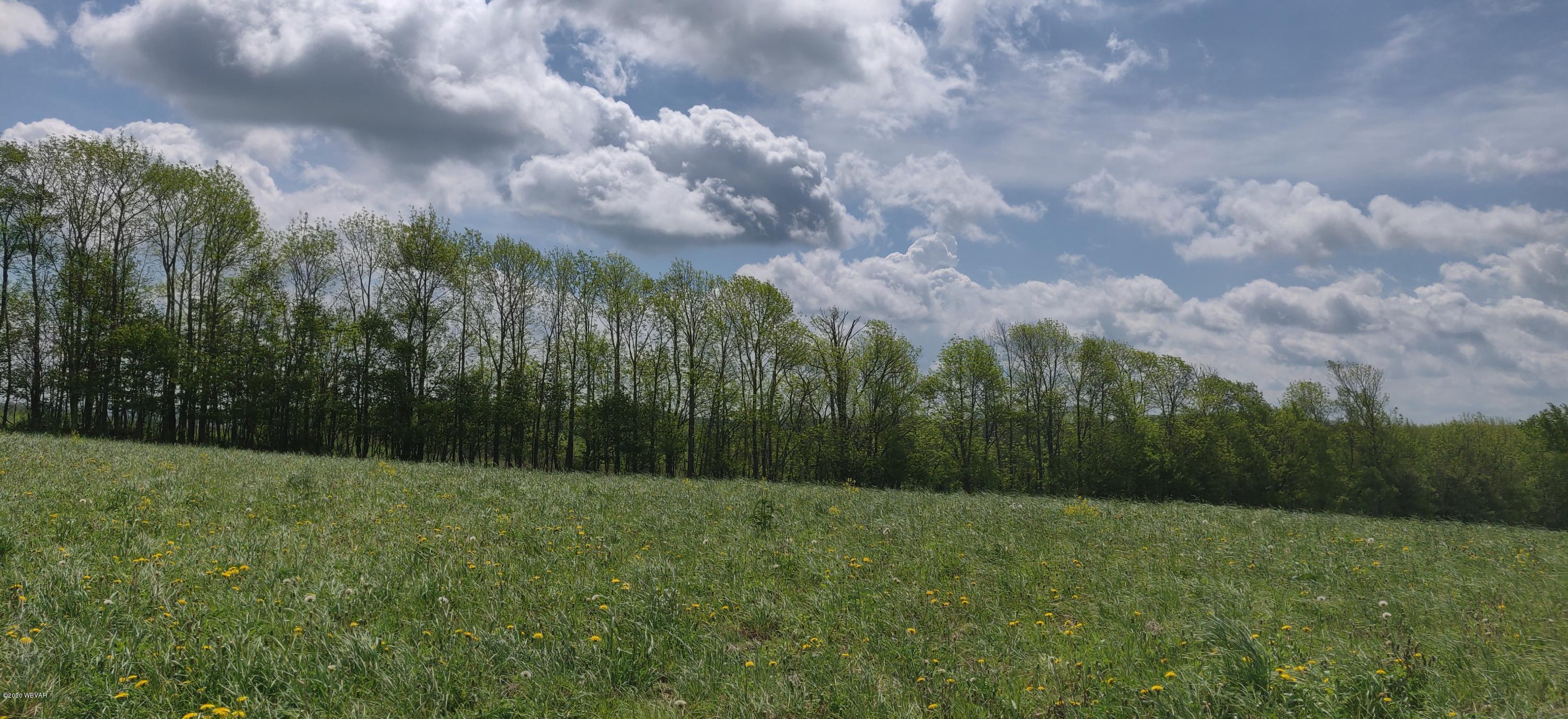 Rietter Hill Road Westfield, PA 16950 - Photo 10 of 24 Gallery Image 10