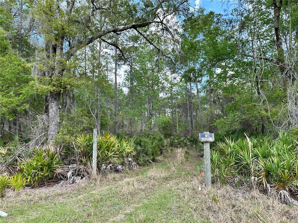19 Southeast Inglis Inglis, FL 34449 - Photo 1 of 14