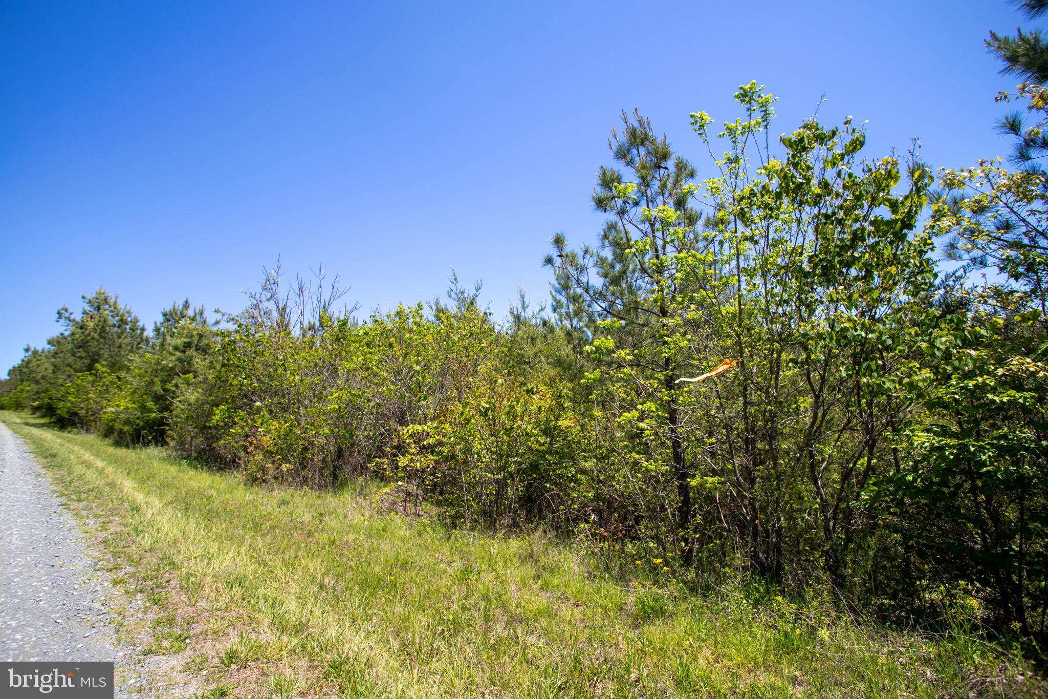 Tbd Tbd Appletree, Unit 8C Sandy Level, VA 24161 - Photo 24 of 25