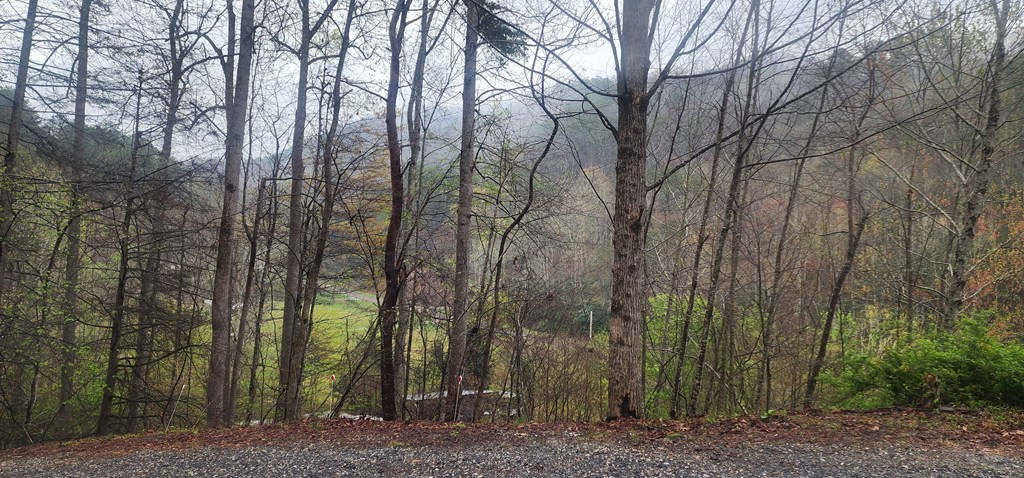 57 Rustys Ridge Bryson City, NC 28713 - Photo 49 of 74