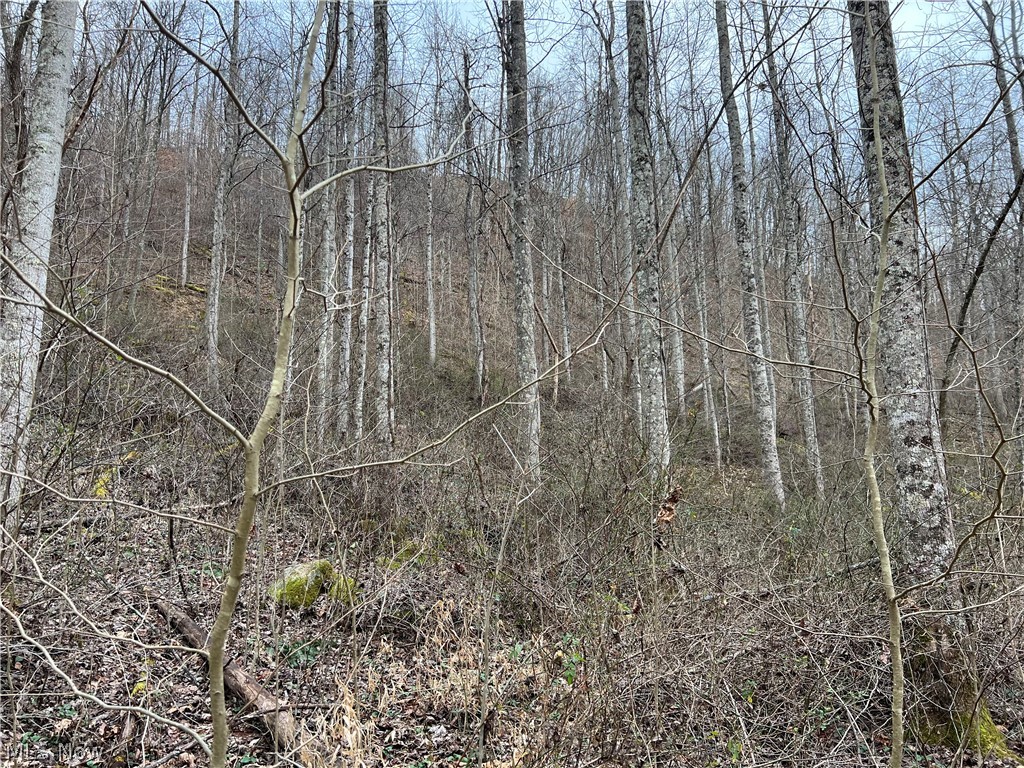 1101 Orchard Run Road Spencer, WV 25276 - Photo 9 of 31 Gallery Image 9