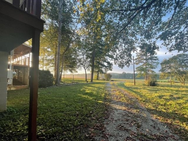 2600 Silerton Road Henderson, TN 38340 - Photo 3 of 38 a view of a yard with large trees