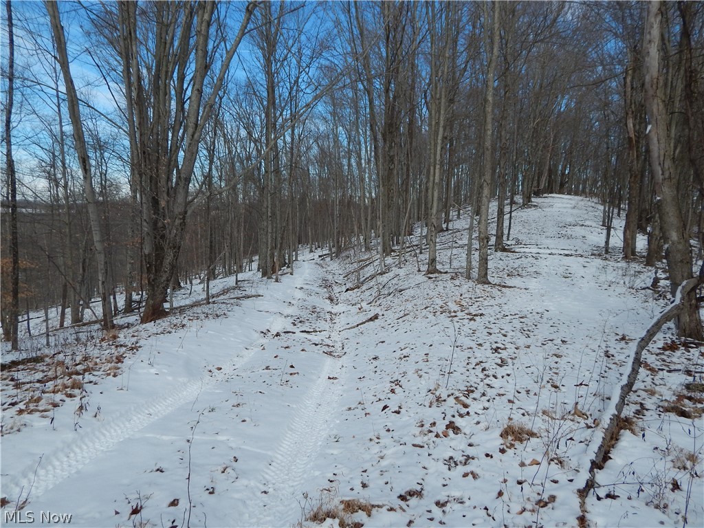 0 Hazelgreen Road Smithville, WV 26178 - Photo 16 of 23