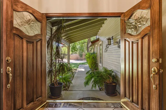 a living room with furniture a fireplace and a potted plant