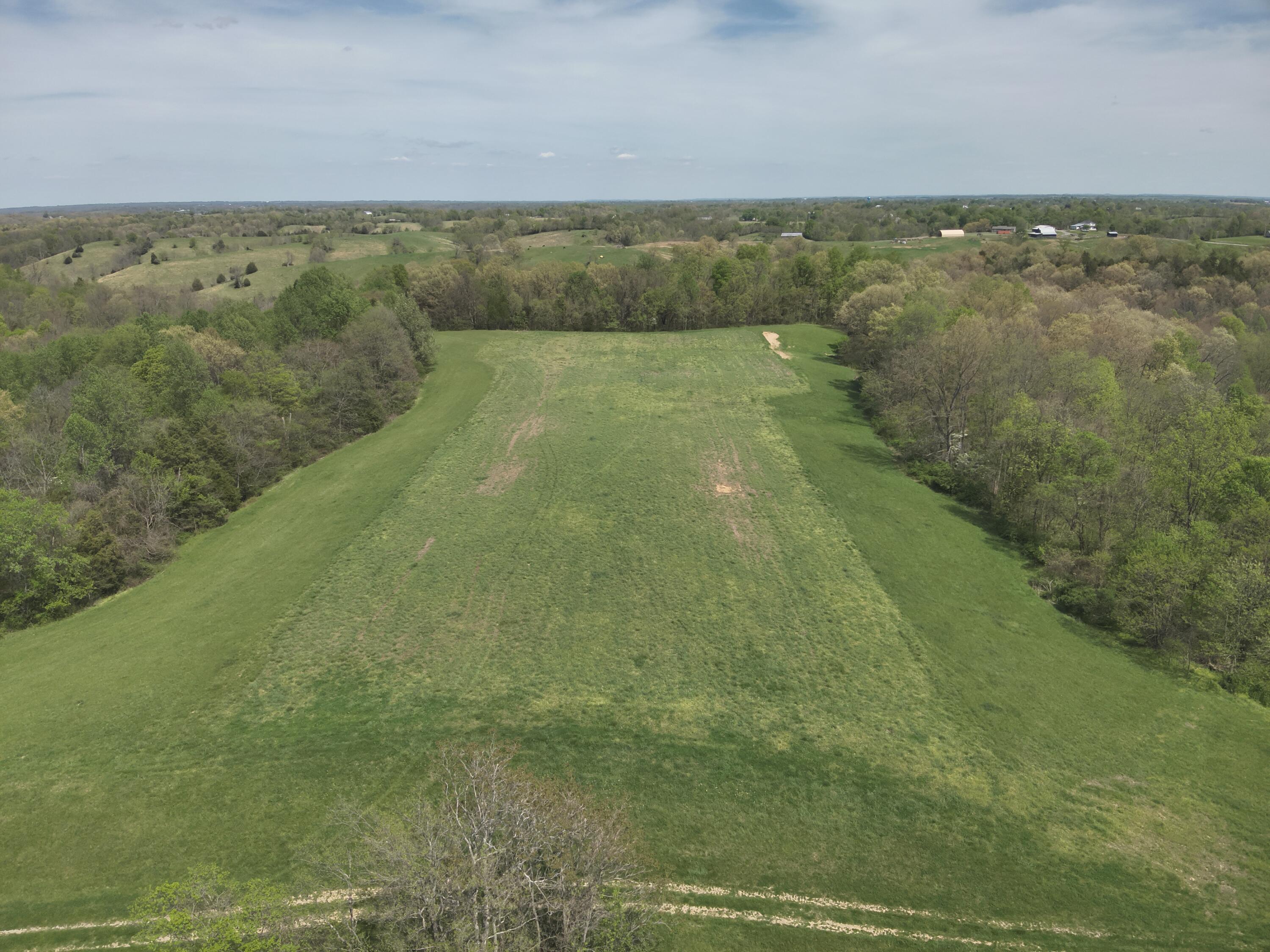 2451 Sardis Road Mount Olivet, KY 41064 - Photo 7 of 42