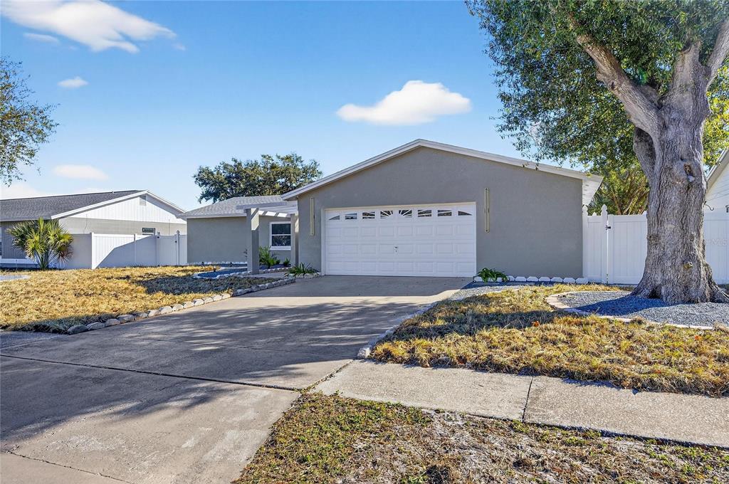 4016 Orangefield Place Valrico, FL 33596 - Photo 5 of 67