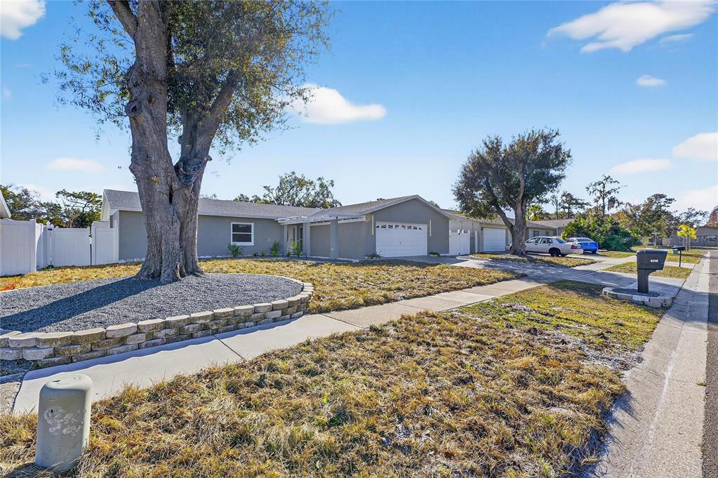 4016 Orangefield Place Valrico, FL 33596 - Photo 6 of 67