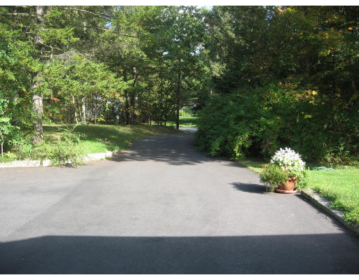 142 Center Road Shirley, MA 01464 - Photo 3 of 12 a view of a yard with potted plants